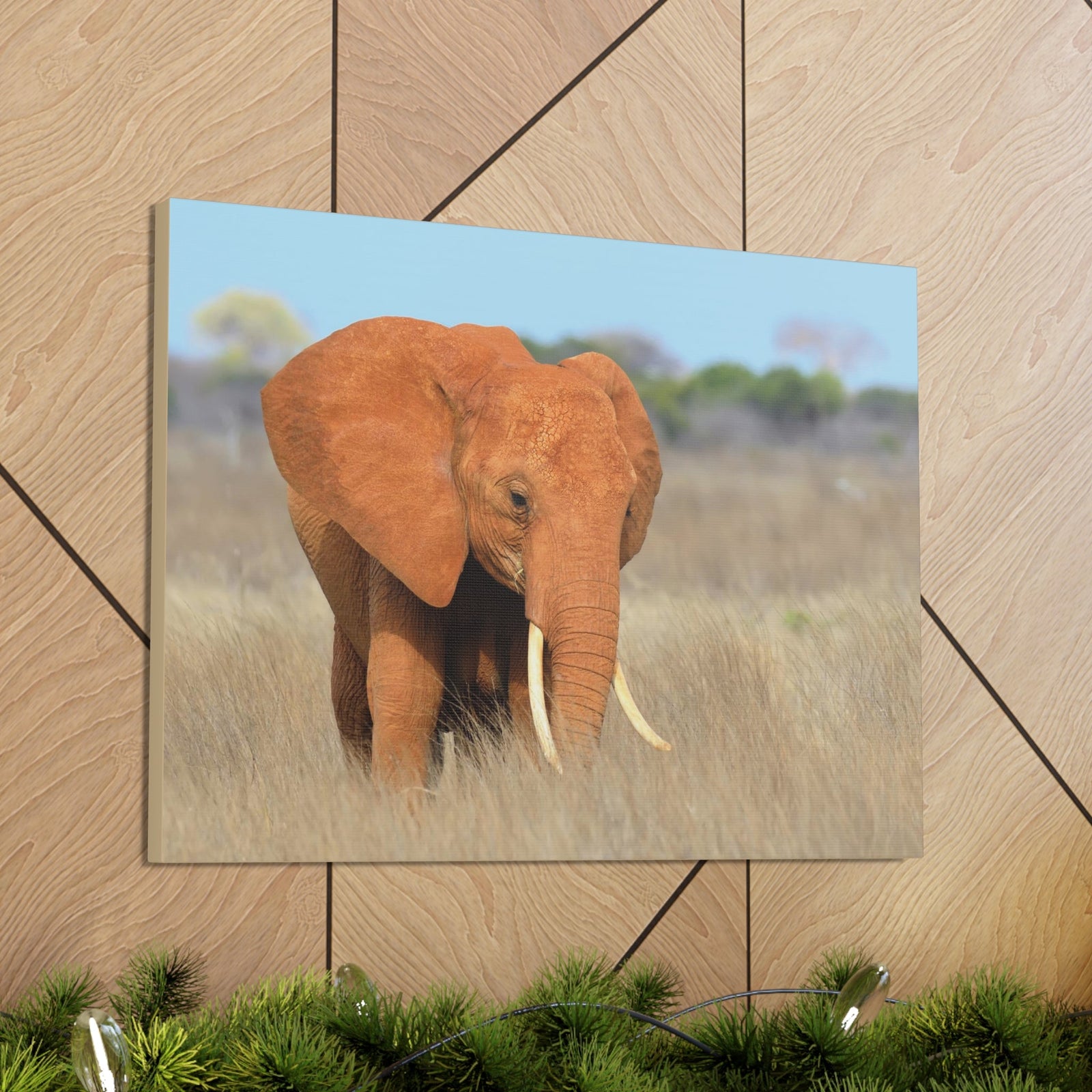 Majestic African Elephant on Grassland Outdoor Wall Art Ready To Hang Unframed-Express Your Love Gifts
