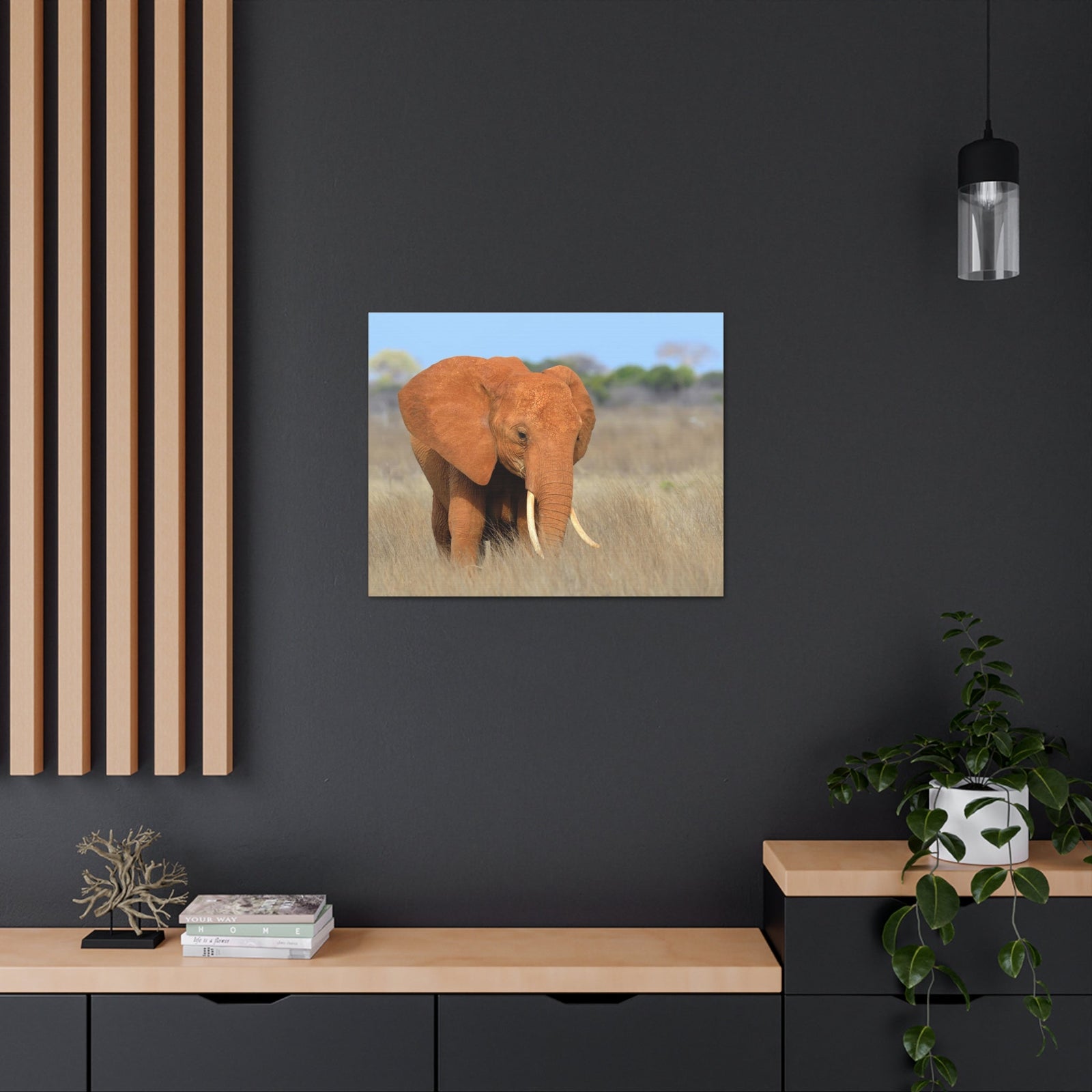 Majestic African Elephant on Grassland Outdoor Wall Art Ready To Hang Unframed-Express Your Love Gifts