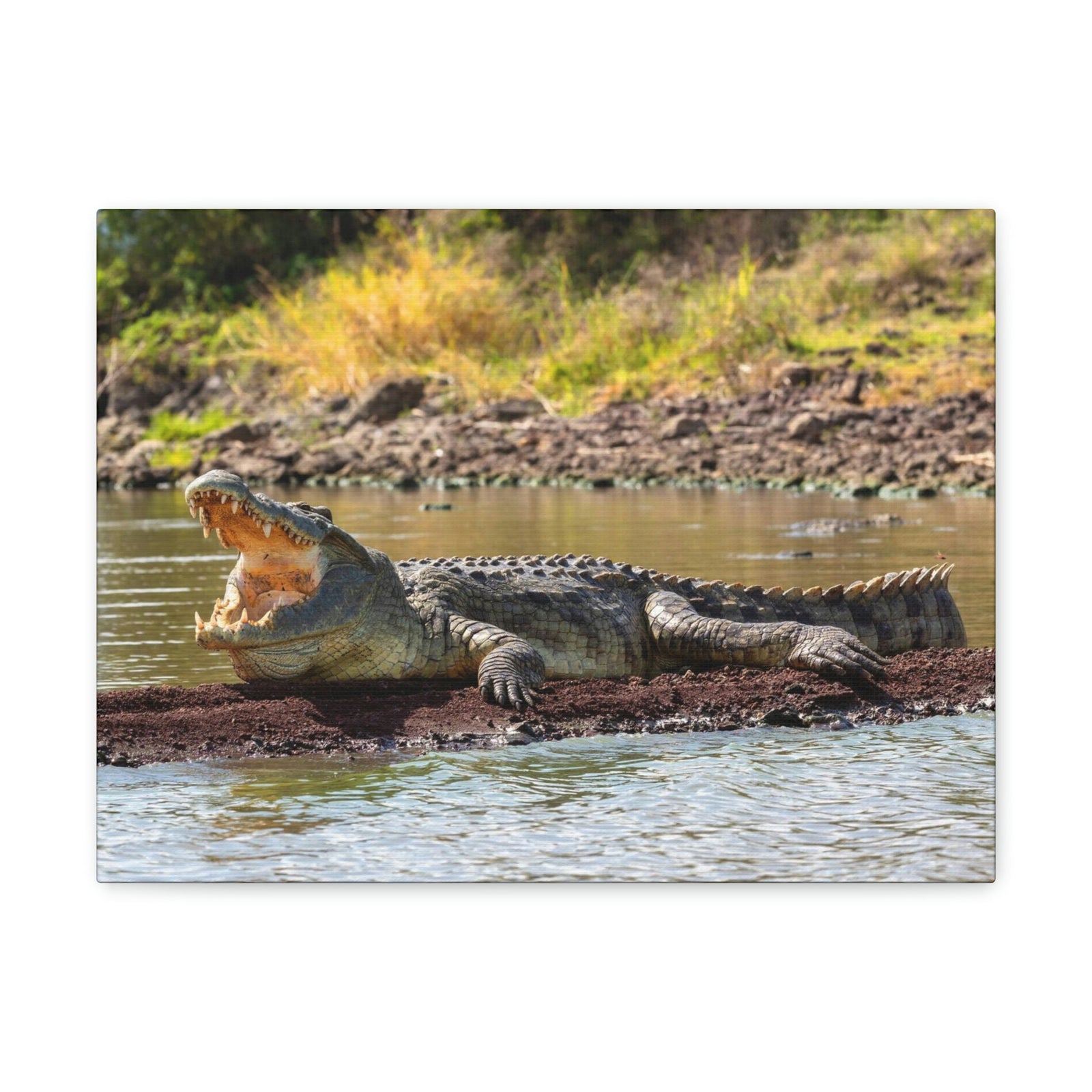 Scripture Walls Majestic Alligator Art Majestic Alligator Print Animal Wall Art Wildlife Canvas Prints Wall Art Ready to Hang Unframed-Express Your Love Gifts