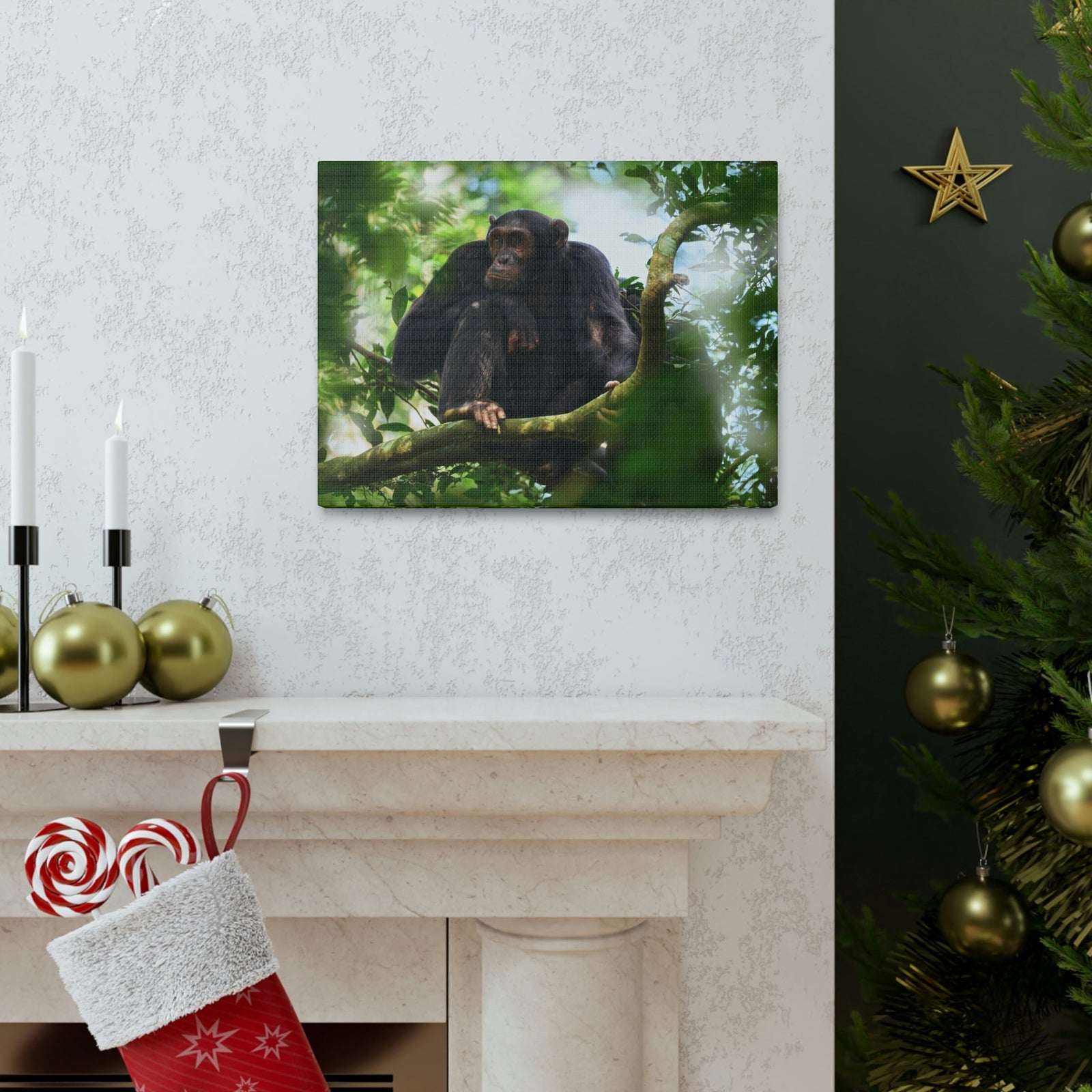 Scripture Walls Majestic Chimpanzee Art Majestic Chimpanzee Print Animal Wall Art Wildlife Canvas Prints Wall Art Ready to Hang Unframed-Express Your Love Gifts