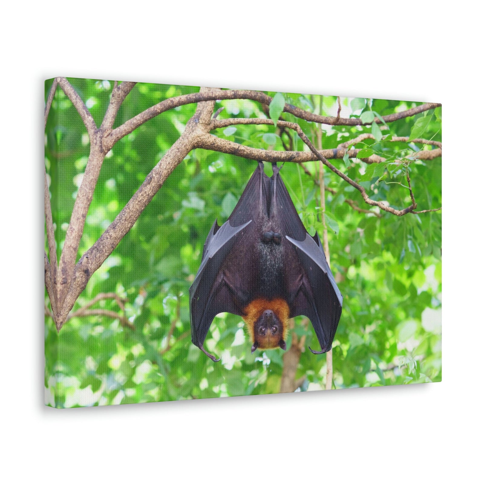 Majestic Fruit Bat Hanging on a Tree in the Forest Unframed-Express Your Love Gifts