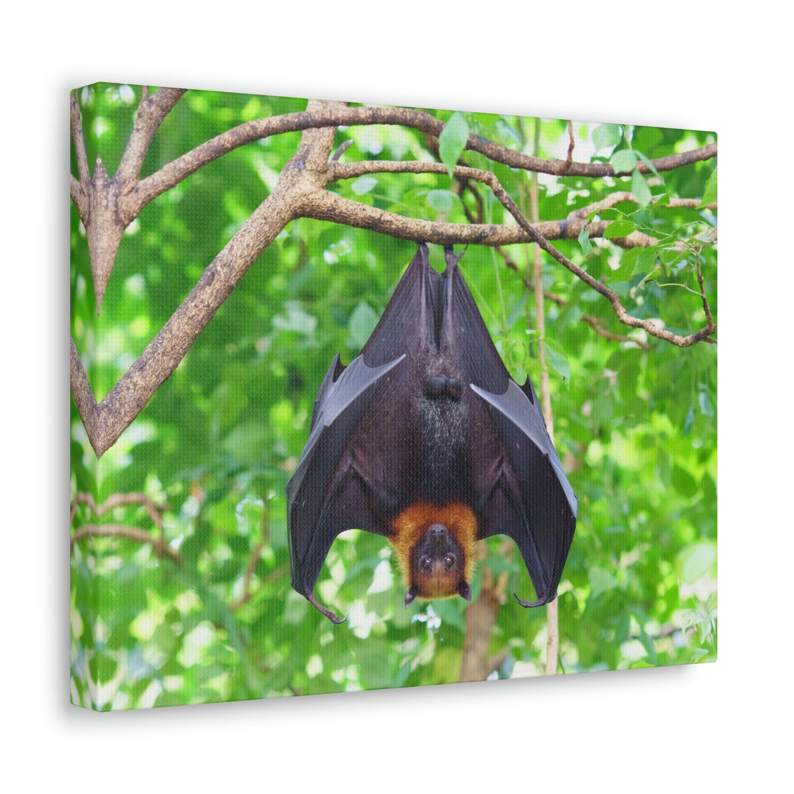 Majestic Fruit Bat Hanging on a Tree in the Forest Unframed-Express Your Love Gifts