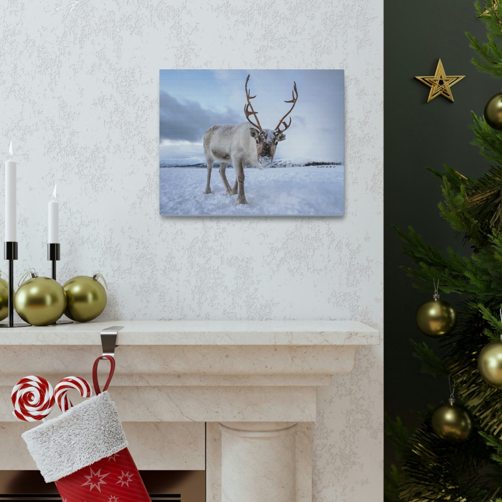 Scripture Walls Majestic Reindeer Art Majestic Reindeer Print Animal Wall Art Wildlife Canvas Prints Wall Art Ready to Hang Unframed-Express Your Love Gifts