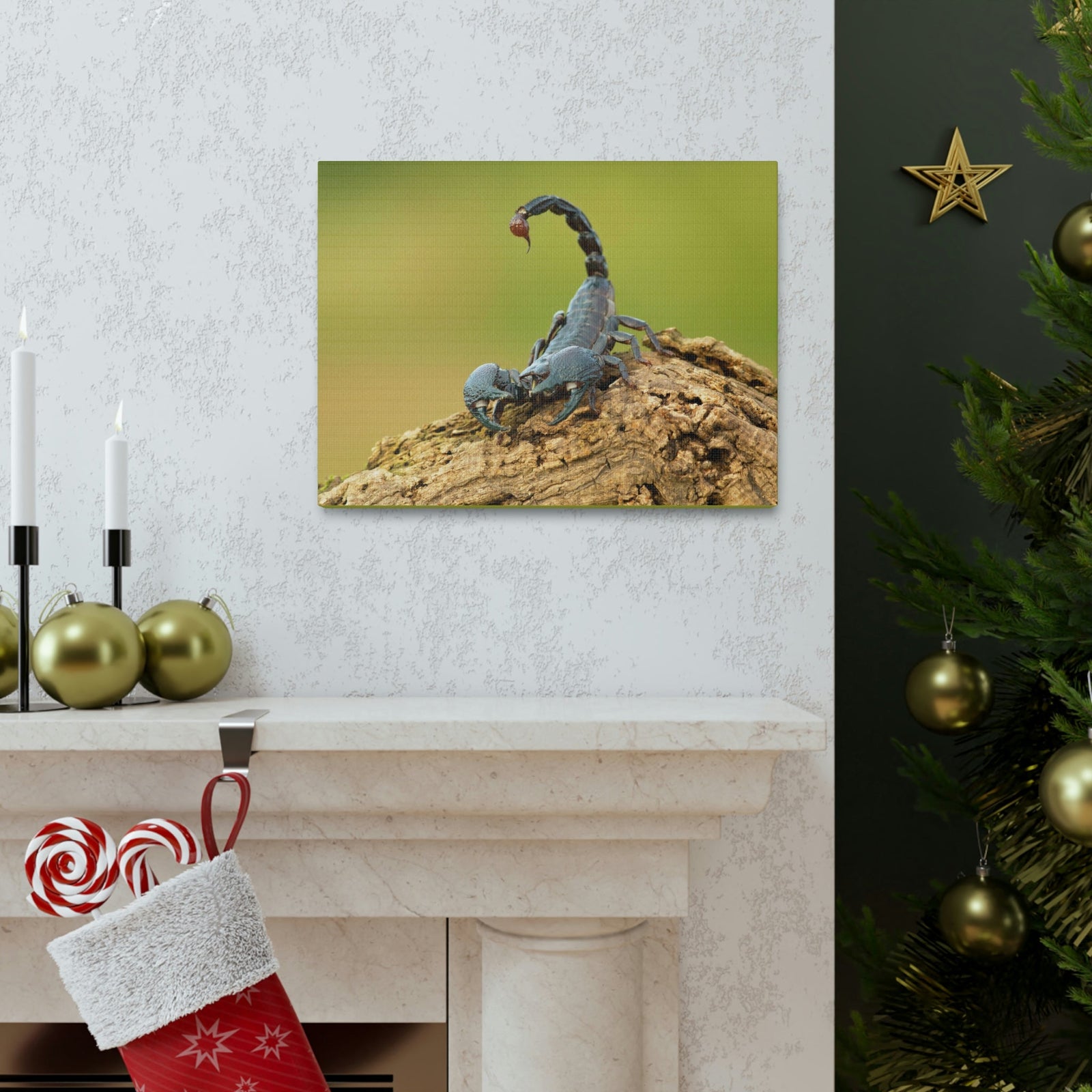 Scripture Walls Majestic Scorpion Art Majestic Scorpion Print Animal Wall Art Wildlife Canvas Prints Wall Art Ready to Hang Unframed-Express Your Love Gifts