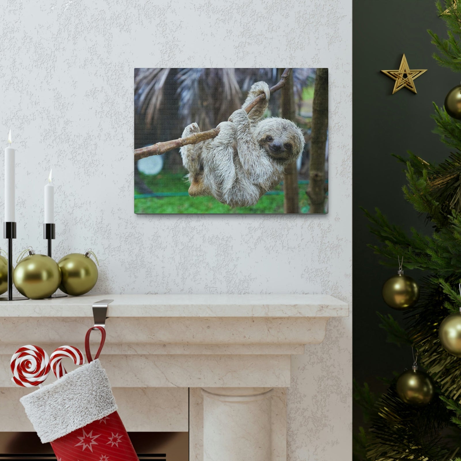 Scripture Walls Majestic Sloth Art Majestic Sloth Print Animal Wall Art Wildlife Canvas Prints Wall Art Ready to Hang Unframed-Express Your Love Gifts