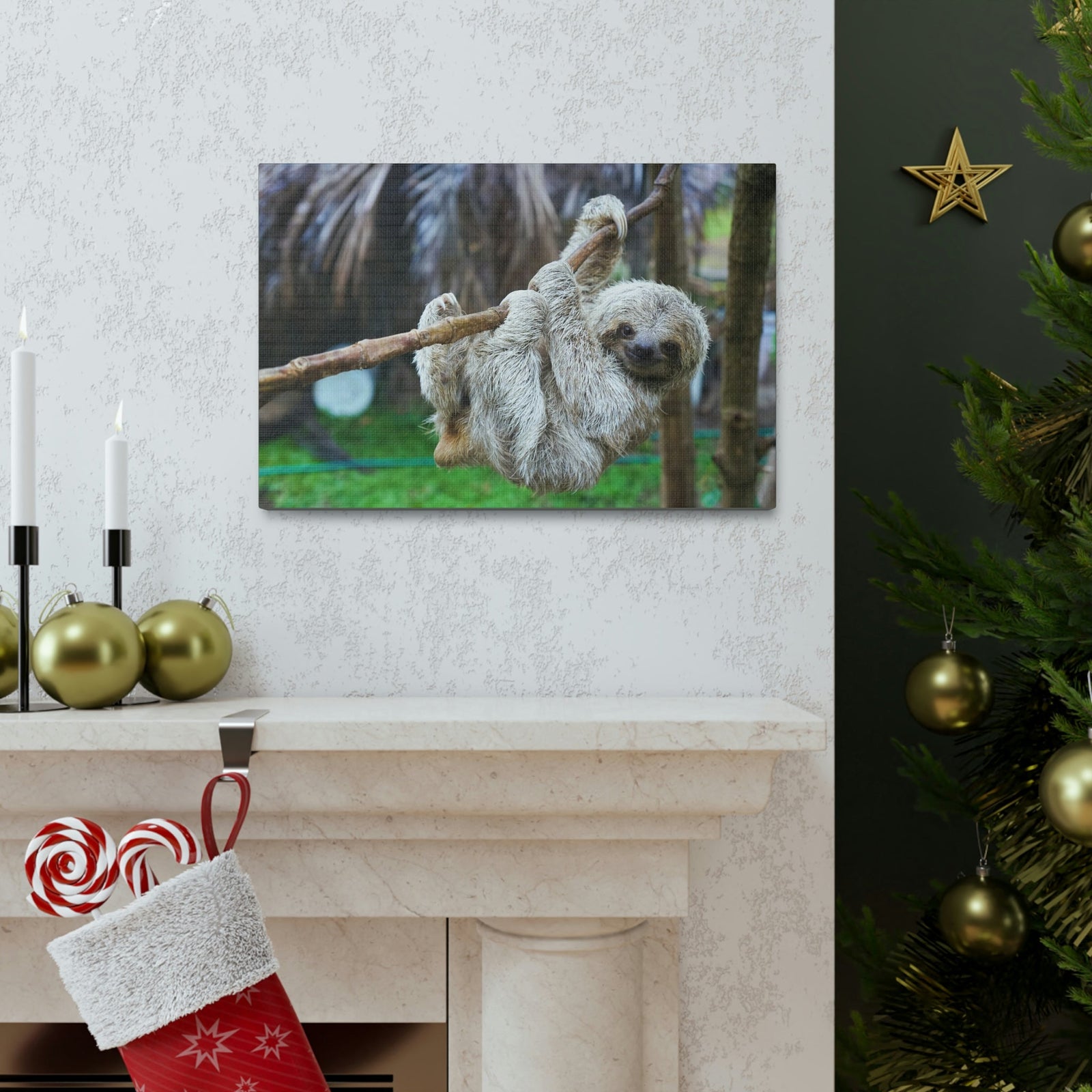 Scripture Walls Majestic Sloth Art Majestic Sloth Print Animal Wall Art Wildlife Canvas Prints Wall Art Ready to Hang Unframed-Express Your Love Gifts