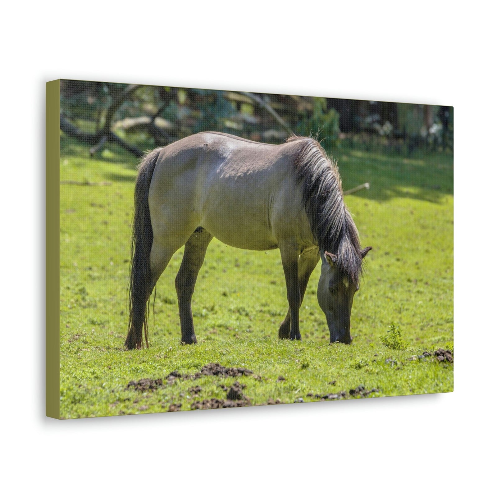 Scripture Walls Majestic Tarpan Art Majestic Tarpan Print Animal Wall Art Wildlife Canvas Prints Wall Art Ready to Hang Unframed-Express Your Love Gifts