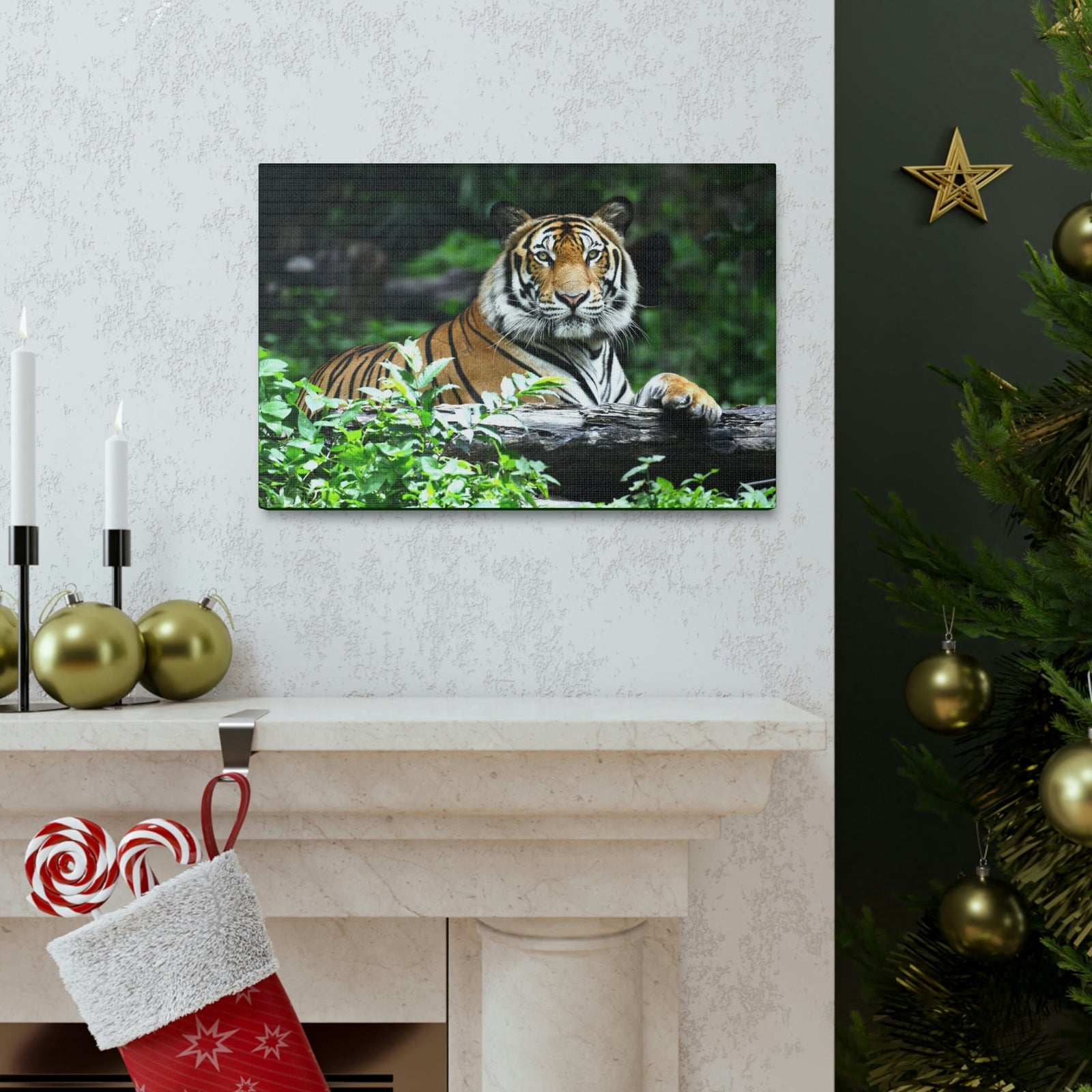 Scripture Walls Majestic Tiger Art Majestic Tiger Print Animal Wall Art Wildlife Canvas Prints Wall Art Ready to Hang Unframed-Express Your Love Gifts