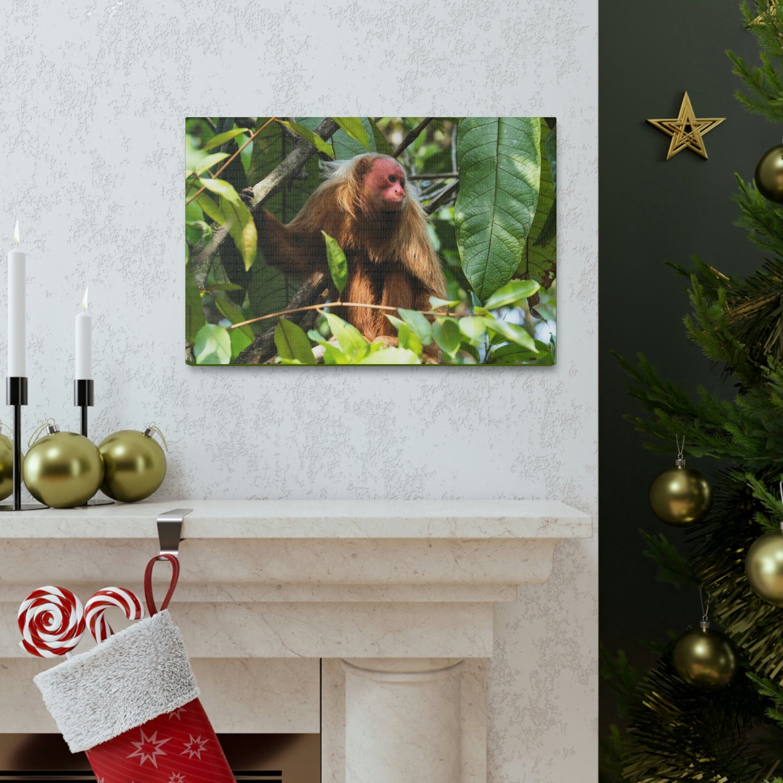 Scripture Walls Majestic Uakari Art Majestic Uakari Print Animal Wall Art Wildlife Canvas Prints Wall Art Ready to Hang Unframed-Express Your Love Gifts