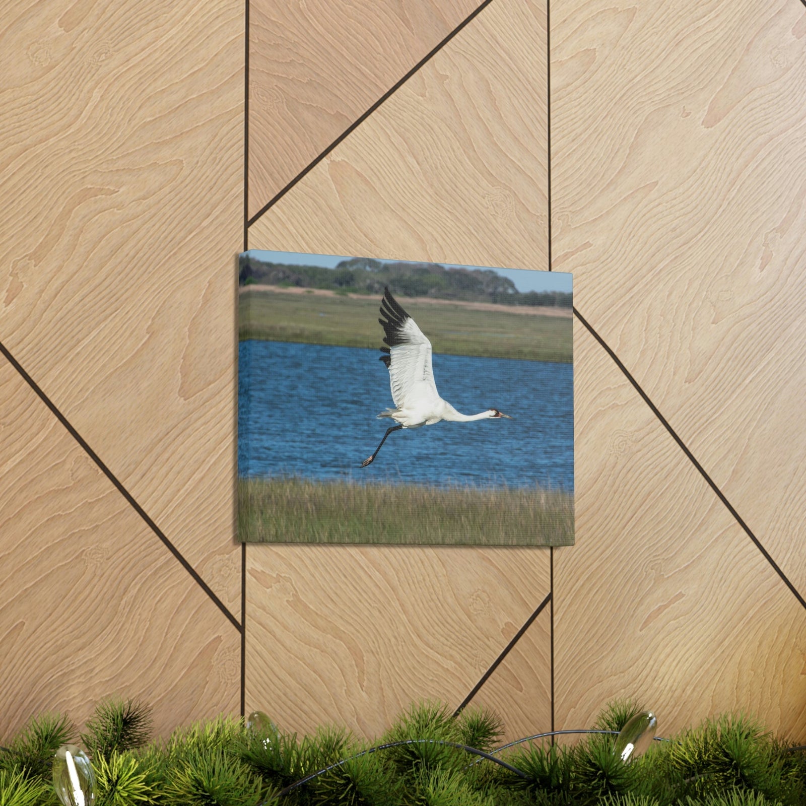 Scripture Walls Majestic Whooping Crane Art Majestic Whooping Crane Print Animal Wall Art Wildlife Canvas Prints Wall Art Ready to Hang Unframed-Express Your Love Gifts