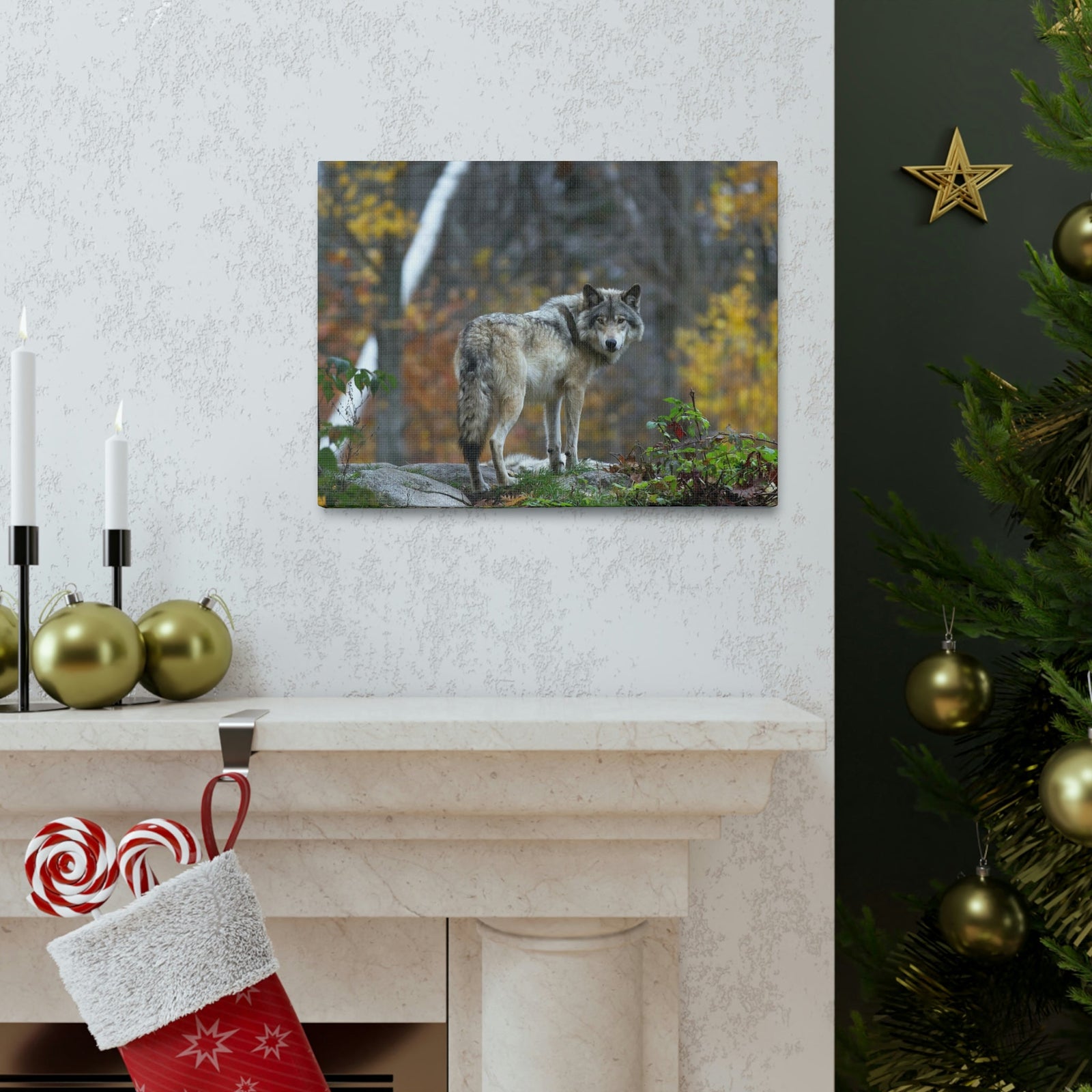Scripture Walls Majestic Wolf Art Majestic Wolf Print Animal Wall Art Wildlife Canvas Prints Wall Art Ready to Hang Unframed-Express Your Love Gifts