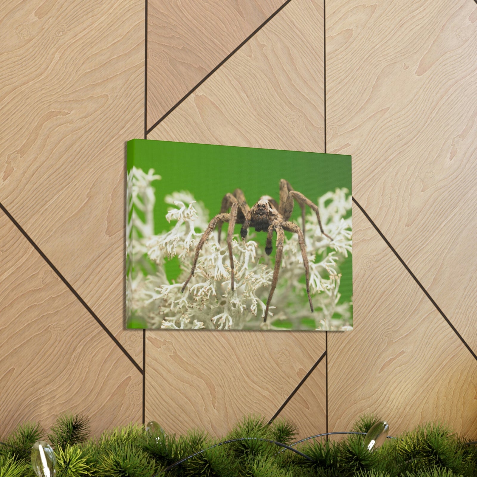 Scripture Walls Majestic Wolf Spider Art Majestic Wolf Spider Print Animal Wall Art Wildlife Canvas Prints Wall Art Ready to Hang Unframed-Express Your Love Gifts