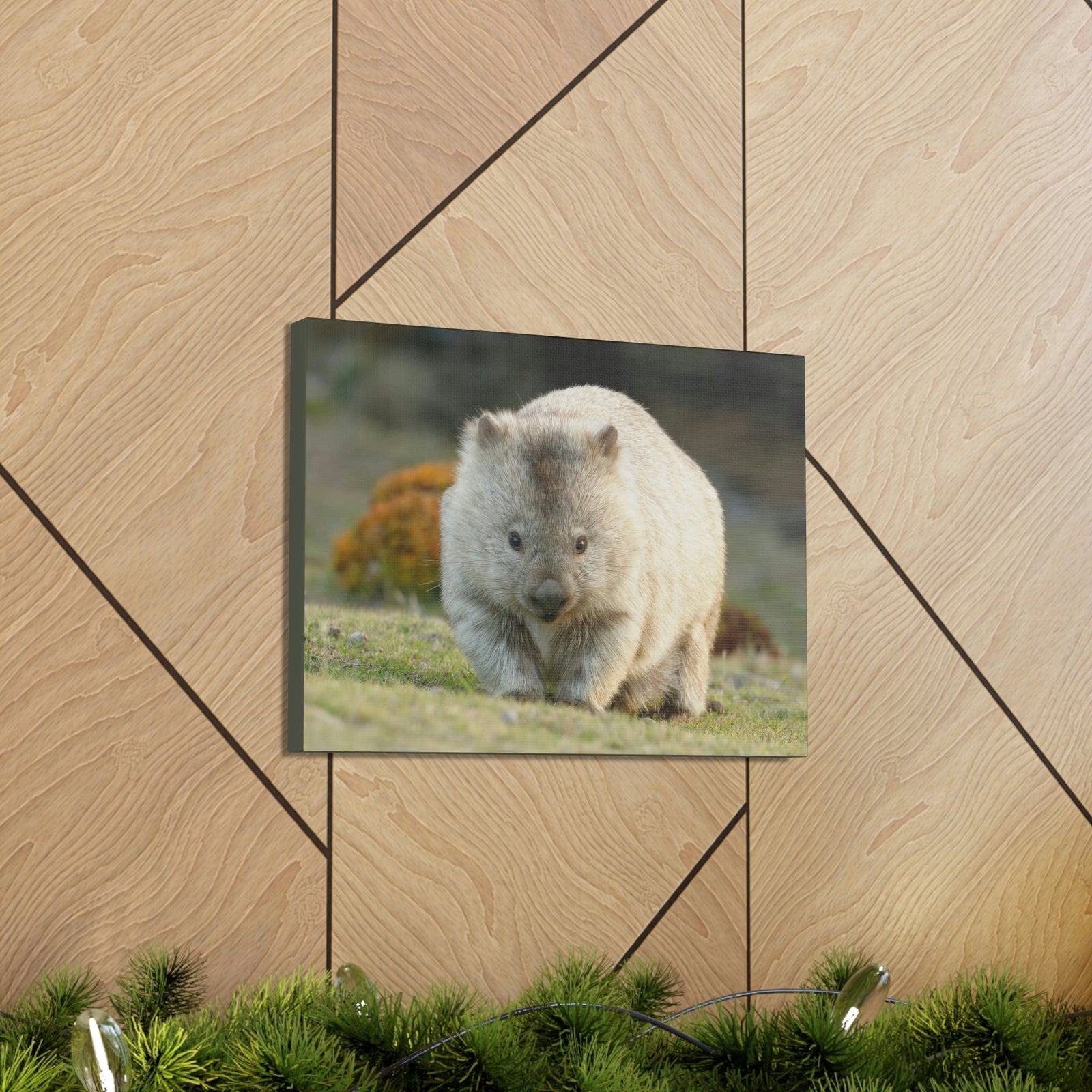 Scripture Walls Majestic Wombat Art Majestic Wombat Print Animal Wall Art Wildlife Canvas Prints Wall Art Ready to Hang Unframed-Express Your Love Gifts