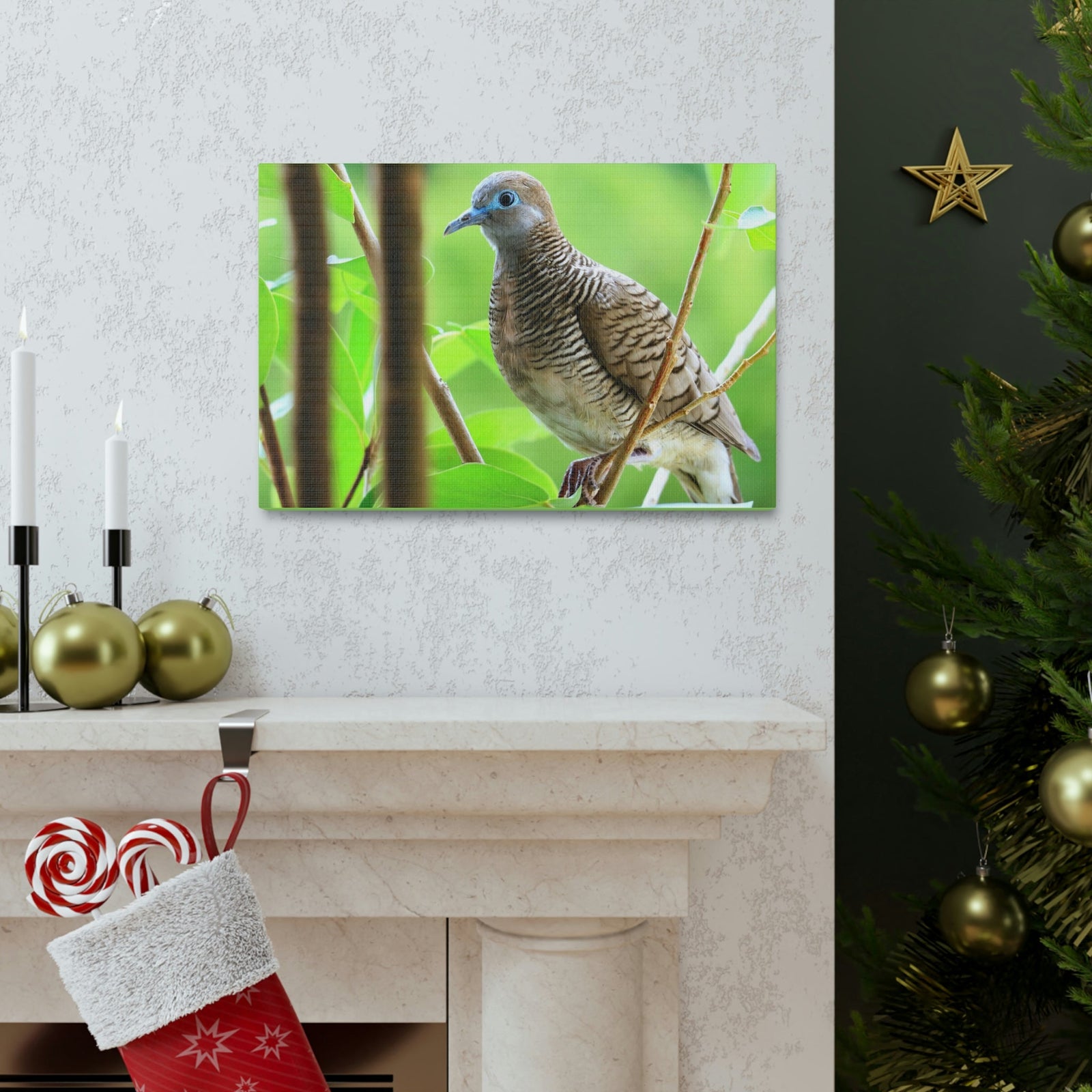 Scripture Walls Majestic Zebra Dove Art Majestic Zebra Dove Print Animal Wall Art Wildlife Canvas Prints Wall Art Ready to Hang Unframed-Express Your Love Gifts