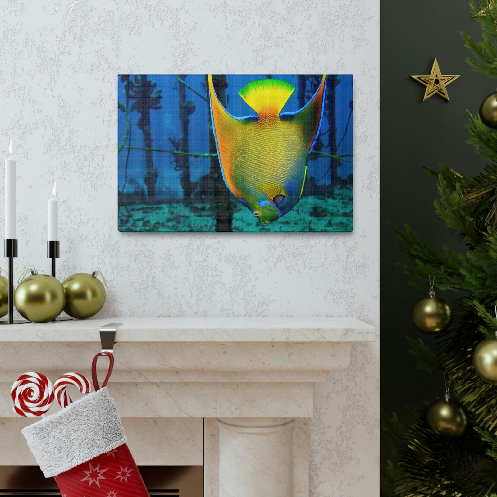 Queen Angel Fish Horizontal Angel Fish Wall Art Ready To Hang Unframed-Express Your Love Gifts