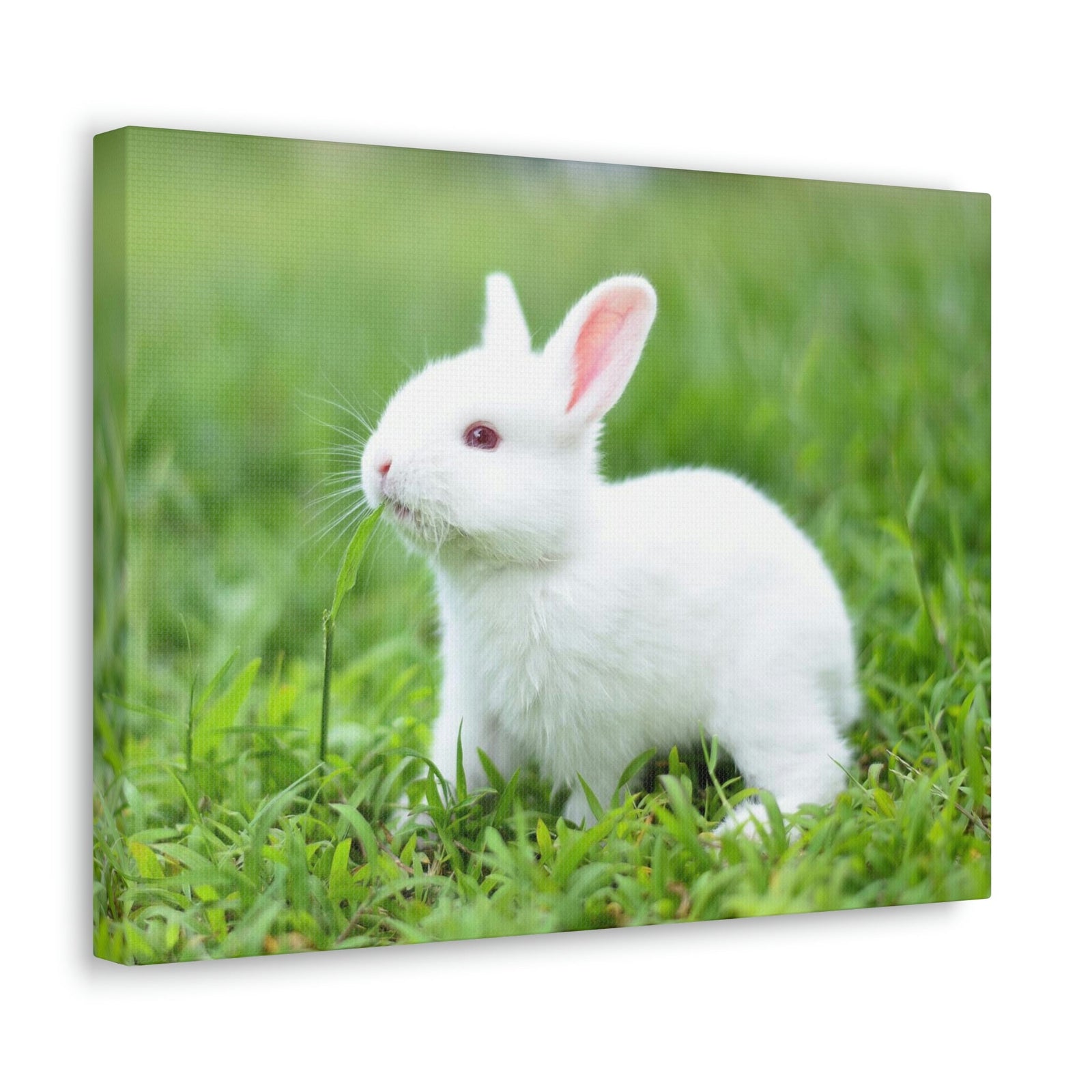 Scripture Walls Rabbit Hunting Rabbit on Hunt Print Animal Wall Art Wildlife Canvas Prints Wall Art Ready to Hang Unframed-Express Your Love Gifts
