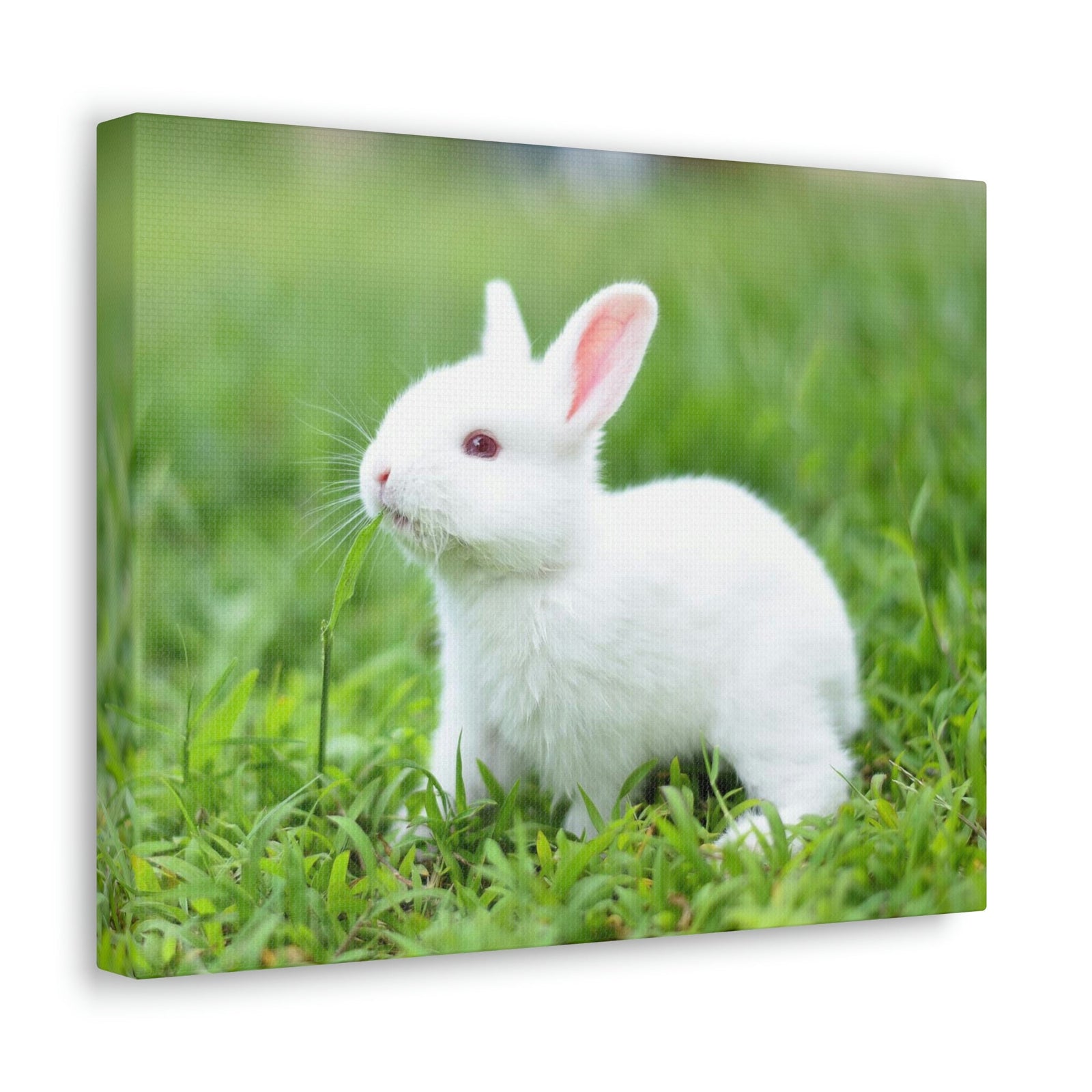 Scripture Walls Rabbit Hunting Rabbit on Hunt Print Animal Wall Art Wildlife Canvas Prints Wall Art Ready to Hang Unframed-Express Your Love Gifts