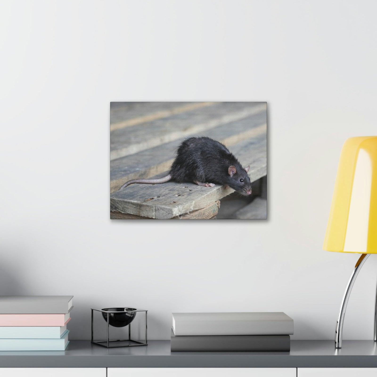 Scripture Walls Rat Hunting Rat on Hunt Print Animal Wall Art Wildlife Canvas Prints Wall Art Ready to Hang Unframed-Express Your Love Gifts