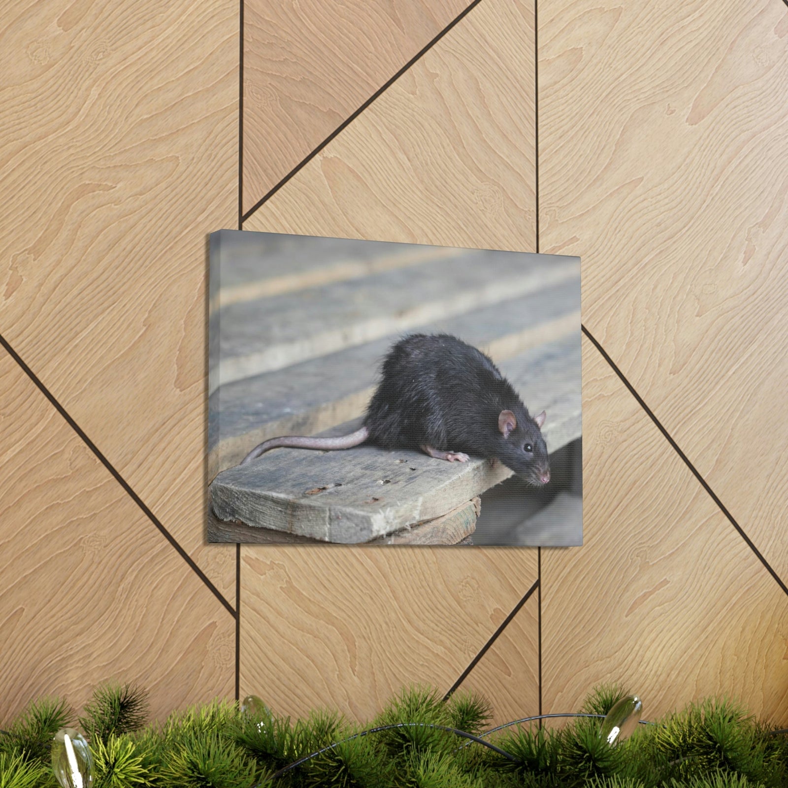 Scripture Walls Rat Hunting Rat on Hunt Print Animal Wall Art Wildlife Canvas Prints Wall Art Ready to Hang Unframed-Express Your Love Gifts