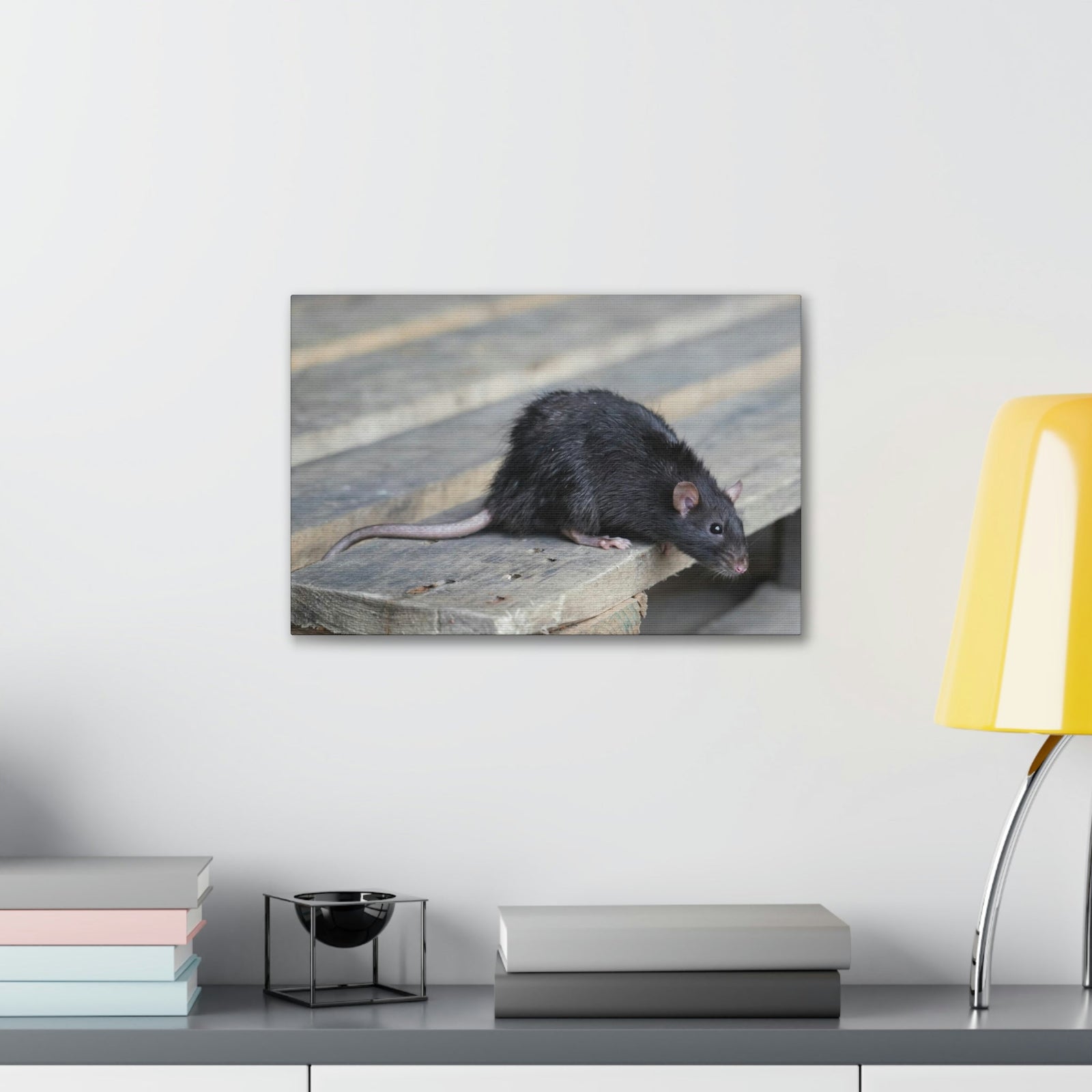 Scripture Walls Rat Hunting Rat on Hunt Print Animal Wall Art Wildlife Canvas Prints Wall Art Ready to Hang Unframed-Express Your Love Gifts