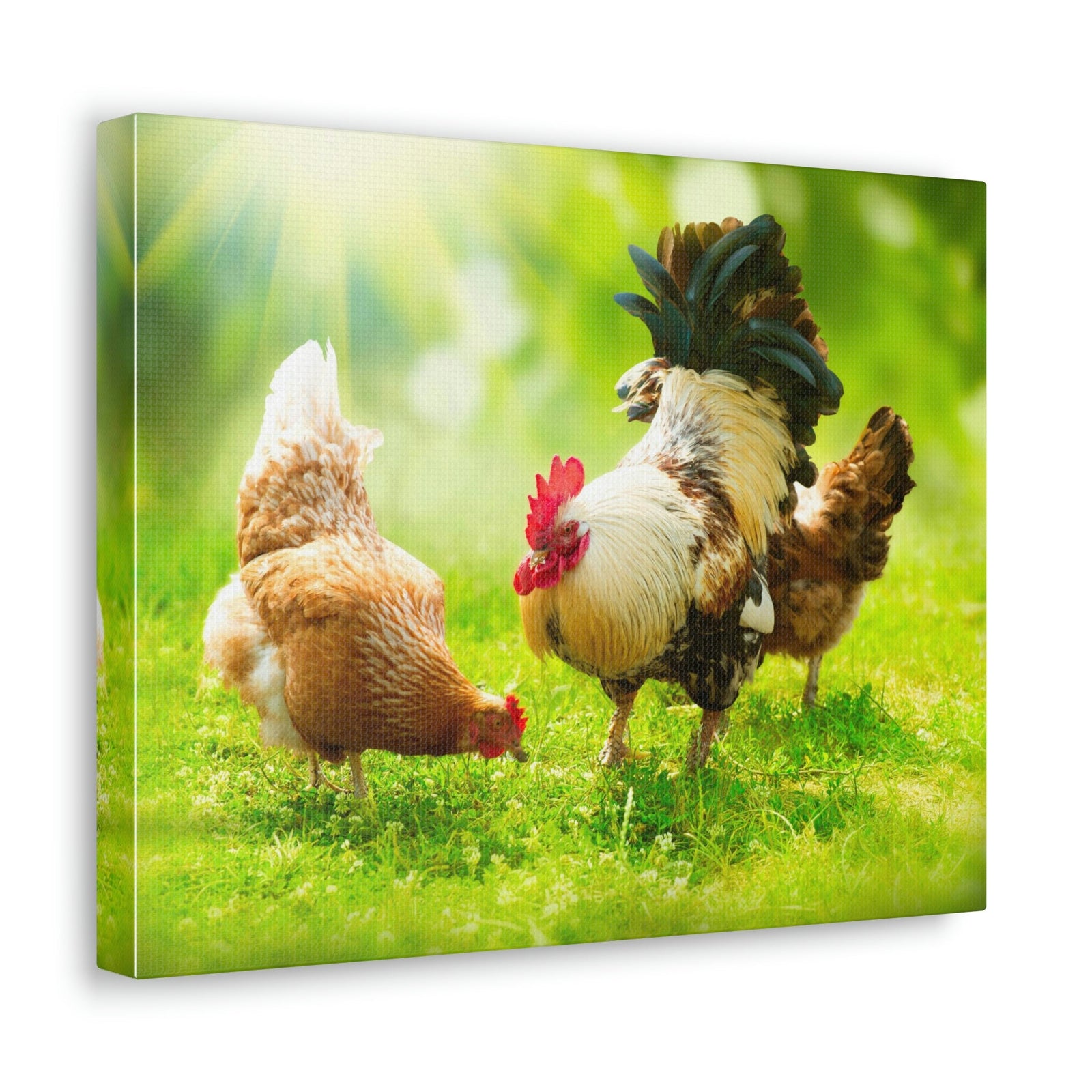 Scripture Walls Rooster and Chicken Hunting for Food Print Animal Wall Art Wildlife Canvas Prints Wall Art Ready to Hang Unframed-Express Your Love Gifts