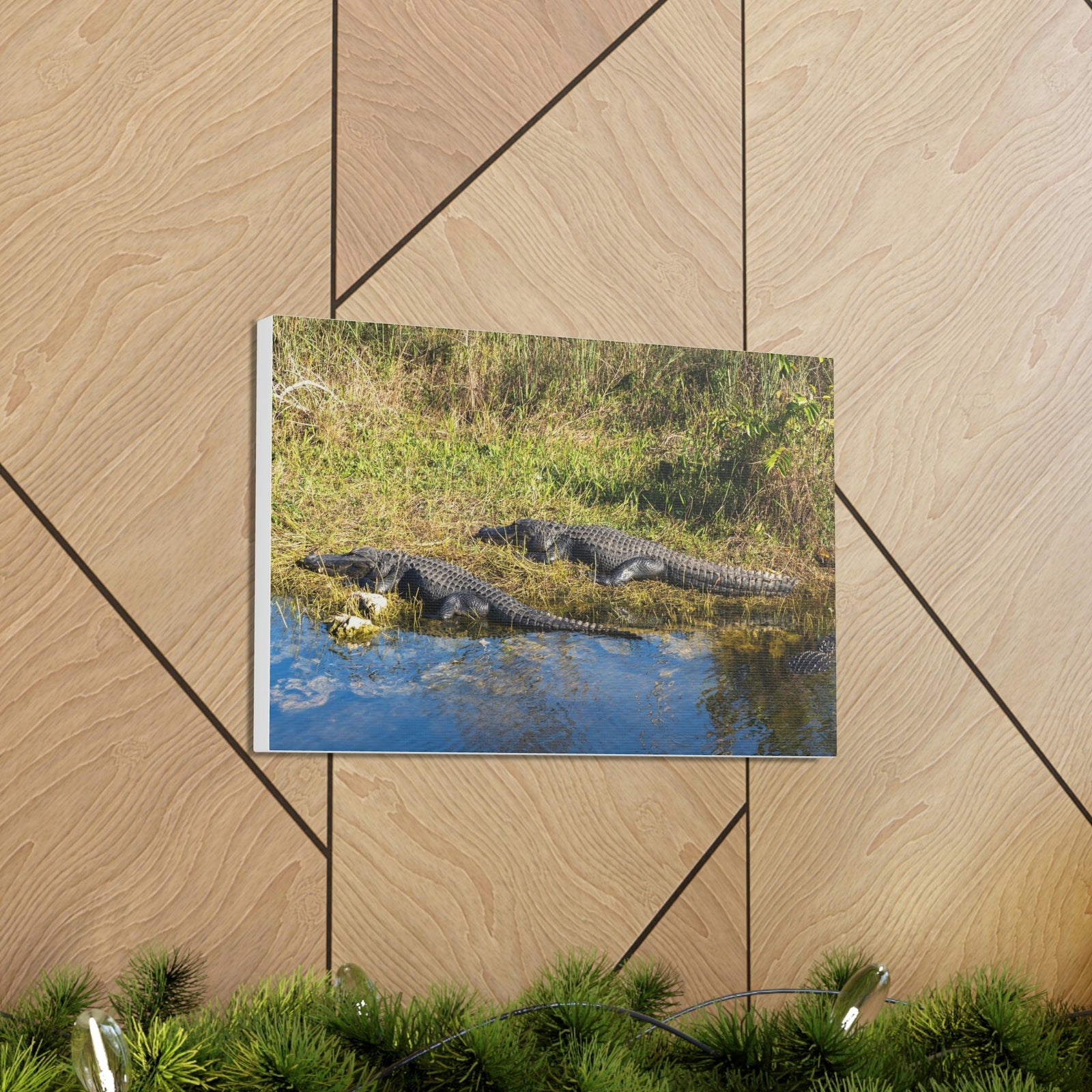 Scripture Walls Salt Water Alligator Couple Salt Water Alligator Couple Print Animal Wall Art Wildlife Canvas Prints Wall Art Ready to Hang Unframed-Express Your Love Gifts