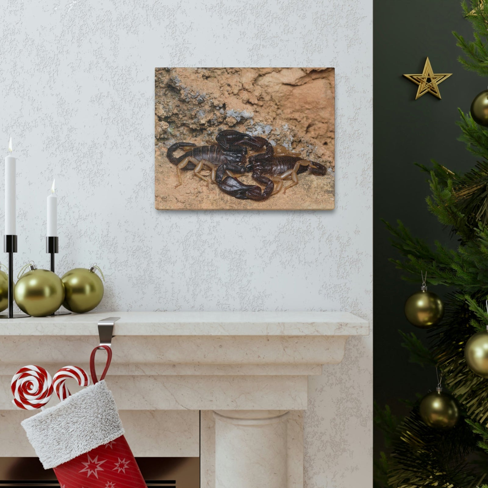 Scripture Walls Scorpion Couple Scorpion Couple Print Animal Wall Art Wildlife Canvas Prints Wall Art Ready to Hang Unframed-Express Your Love Gifts