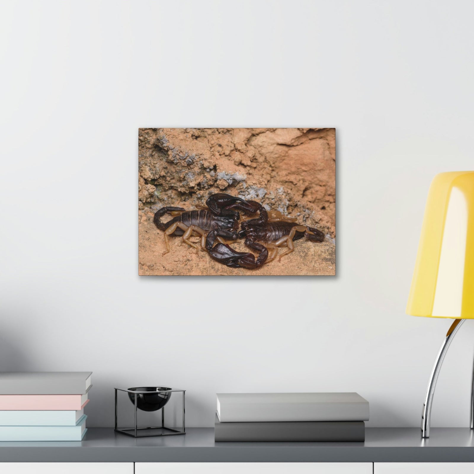Scripture Walls Scorpion Couple Scorpion Couple Print Animal Wall Art Wildlife Canvas Prints Wall Art Ready to Hang Unframed-Express Your Love Gifts