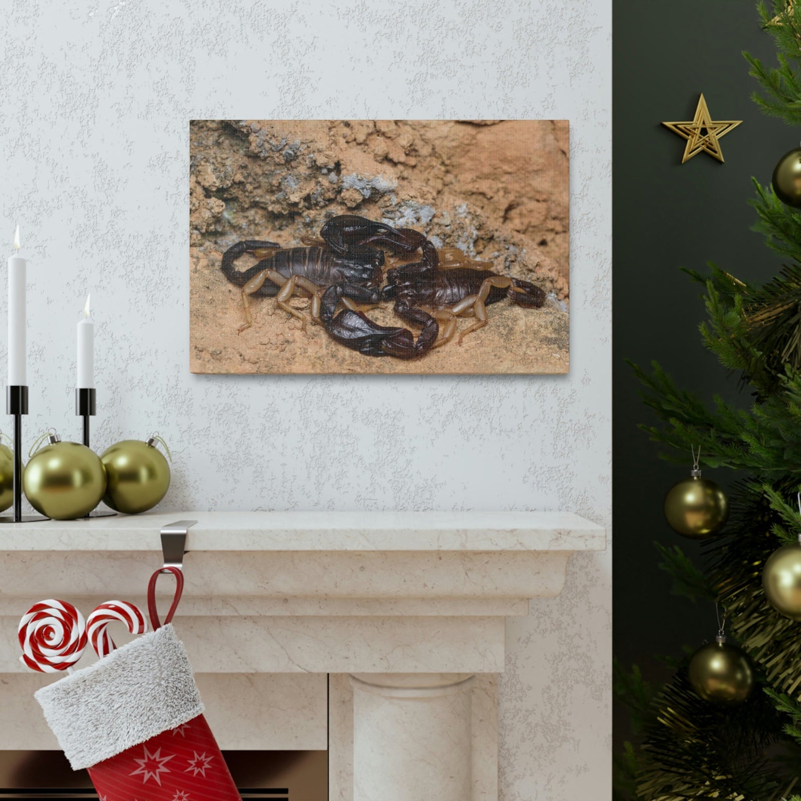 Scripture Walls Scorpion Couple Scorpion Couple Print Animal Wall Art Wildlife Canvas Prints Wall Art Ready to Hang Unframed-Express Your Love Gifts