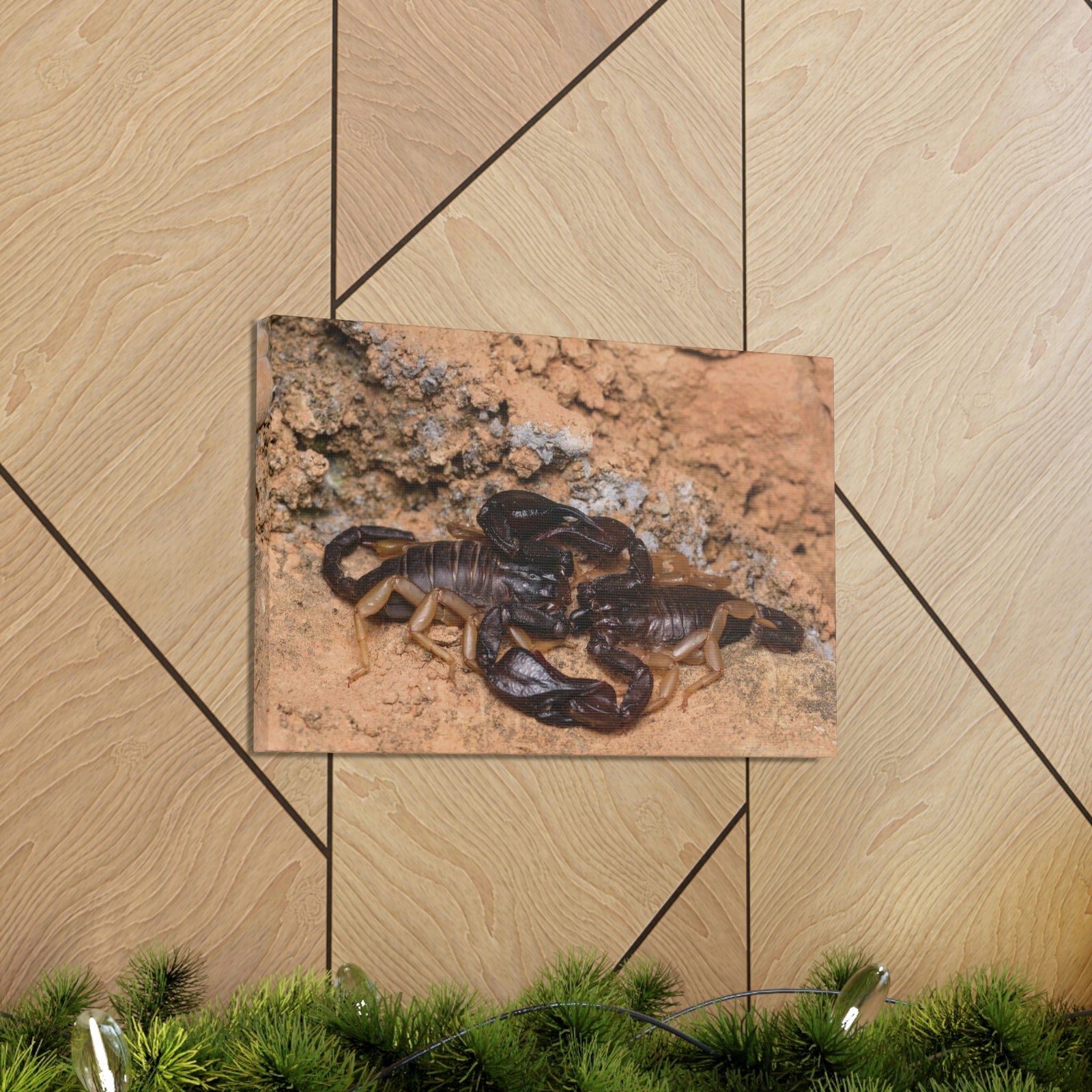 Scripture Walls Scorpion Couple Scorpion Couple Print Animal Wall Art Wildlife Canvas Prints Wall Art Ready to Hang Unframed-Express Your Love Gifts