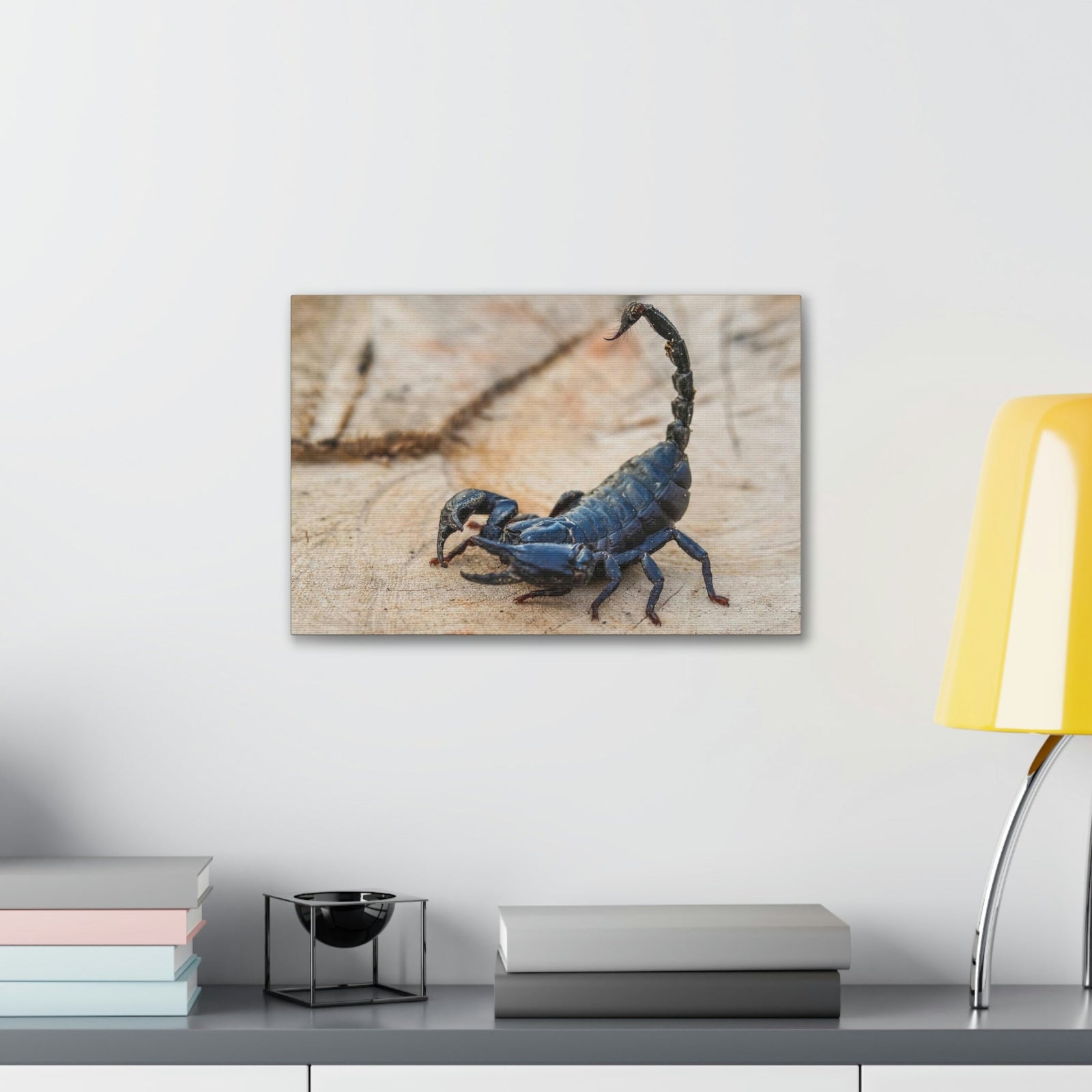 Scripture Walls Scorpion Hunting Scorpion on Hunt Print Animal Wall Art Wildlife Canvas Prints Wall Art Ready to Hang Unframed-Express Your Love Gifts