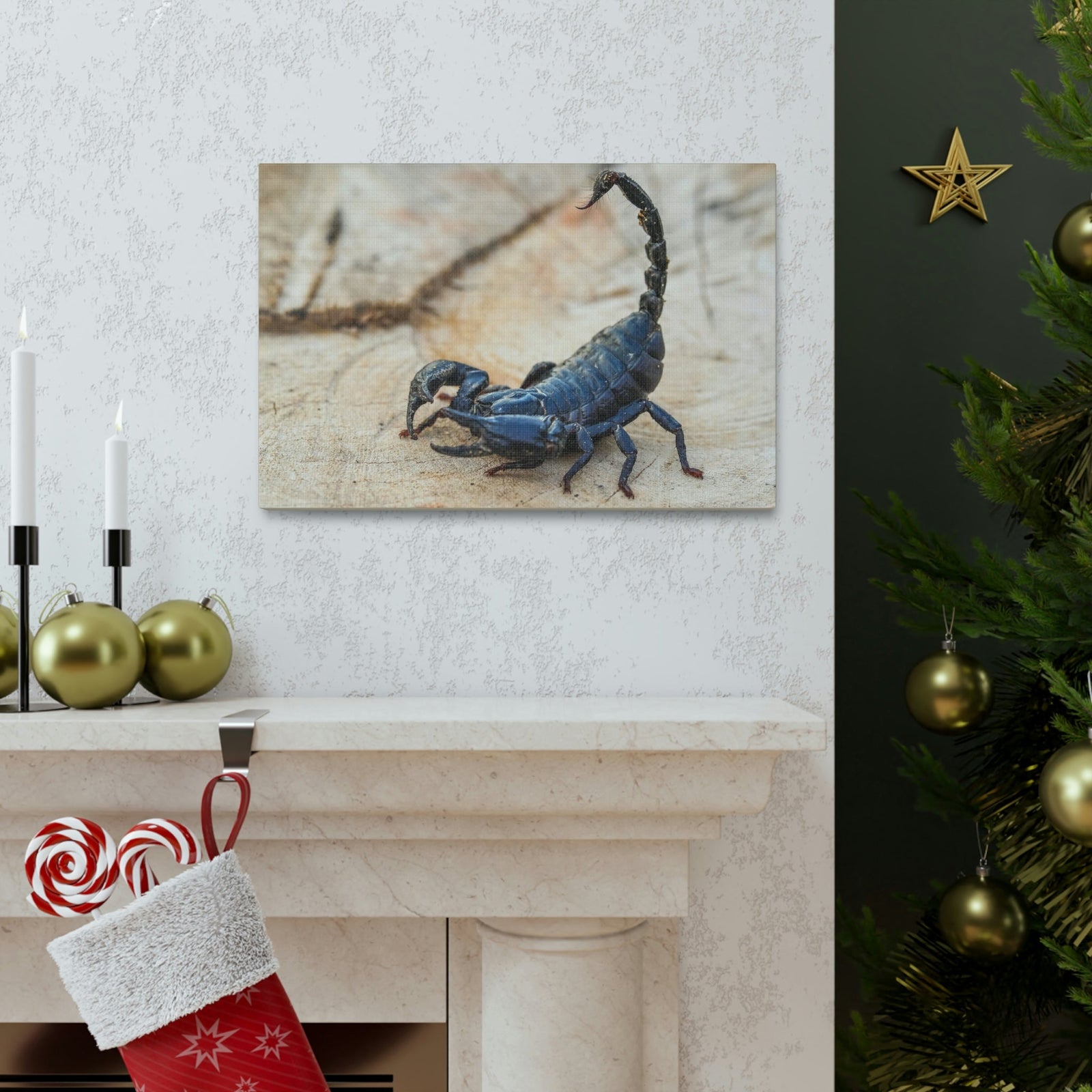 Scripture Walls Scorpion Hunting Scorpion on Hunt Print Animal Wall Art Wildlife Canvas Prints Wall Art Ready to Hang Unframed-Express Your Love Gifts