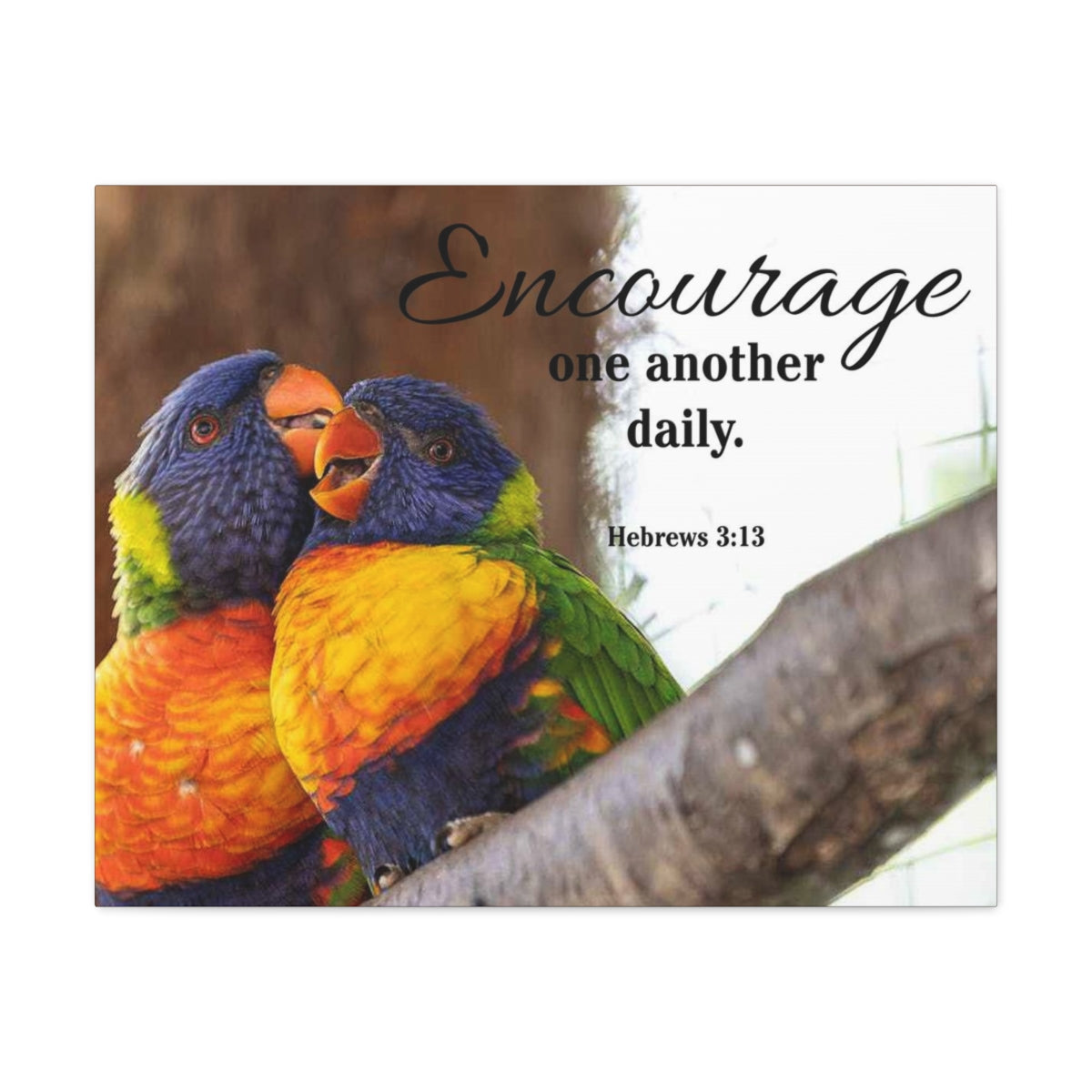 Scriptura Walls Encourage One Another Daily Hebrews 3:13 Parrots Christian Wall Art Bible Verse Print Ready to Hang Unframed-Express Your Love Gifts