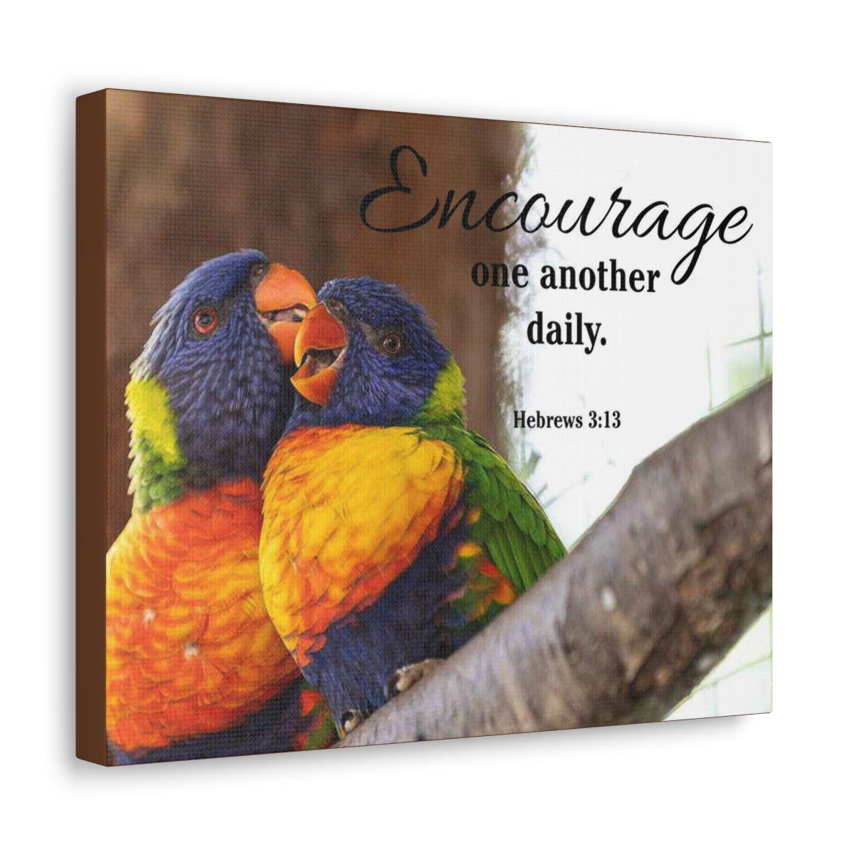 Scriptura Walls Encourage One Another Daily Hebrews 3:13 Parrots Christian Wall Art Bible Verse Print Ready to Hang Unframed-Express Your Love Gifts