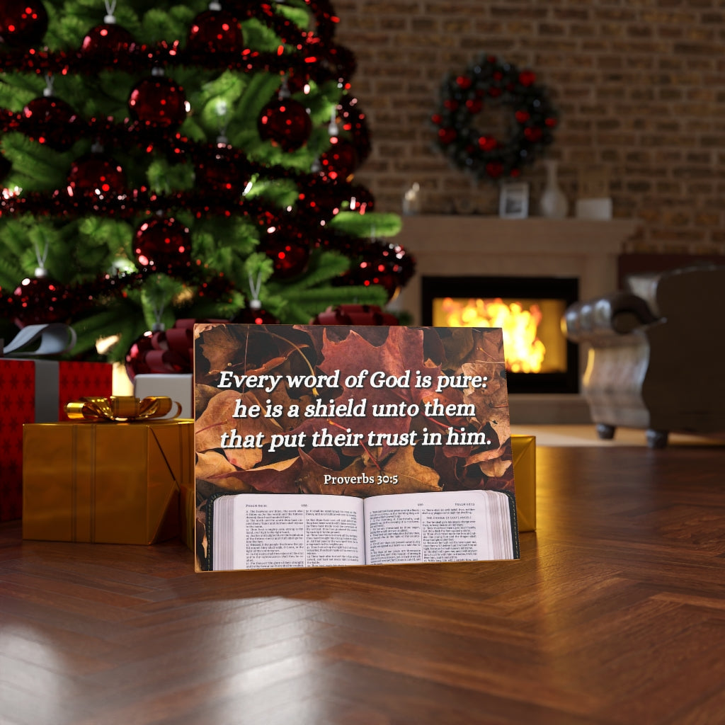 Scripture Walls A Shield Proverbs 30:5 Bible Verse Canvas Christian Wall Art Ready to Hang Unframed-Express Your Love Gifts