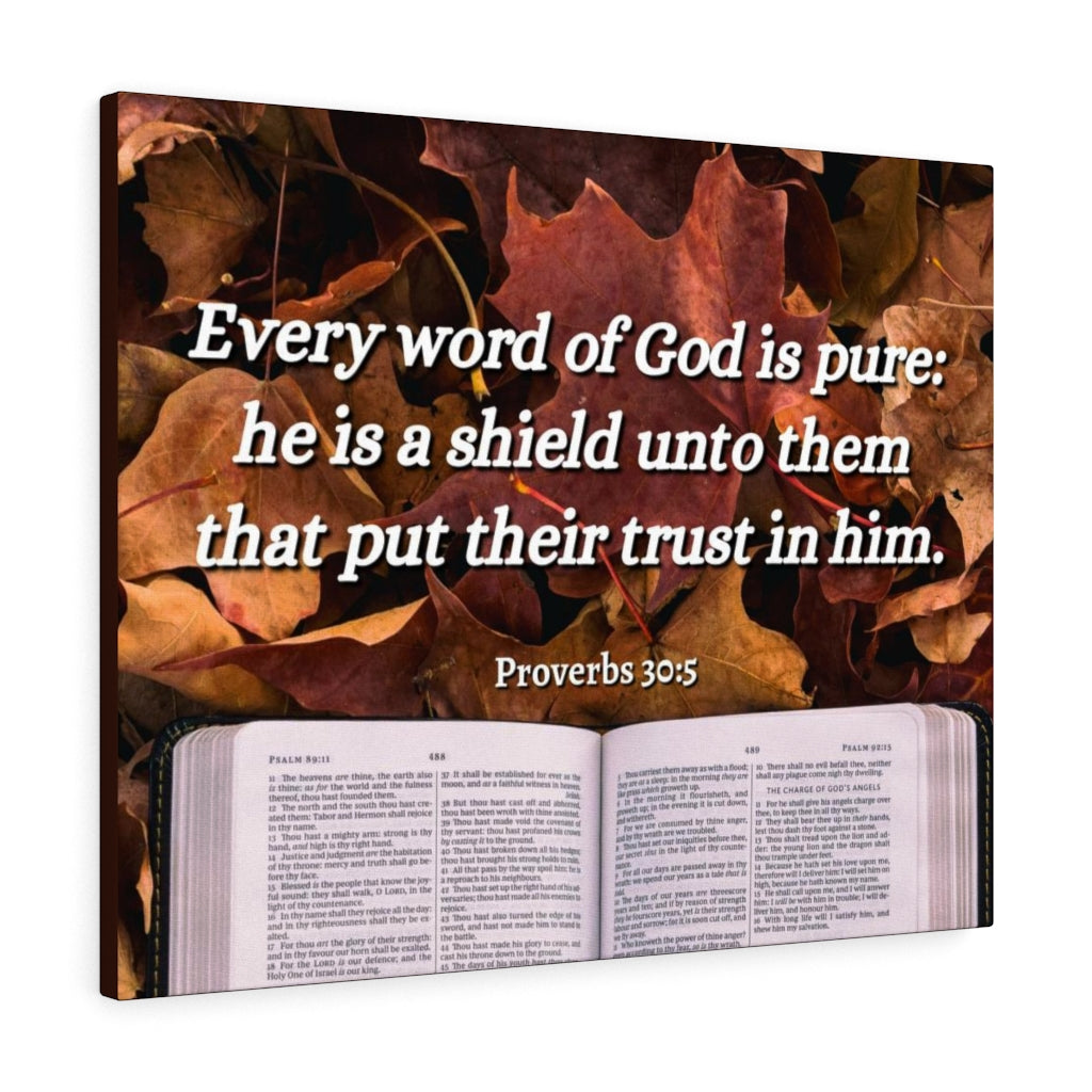 Scripture Walls A Shield Proverbs 30:5 Bible Verse Canvas Christian Wall Art Ready to Hang Unframed-Express Your Love Gifts