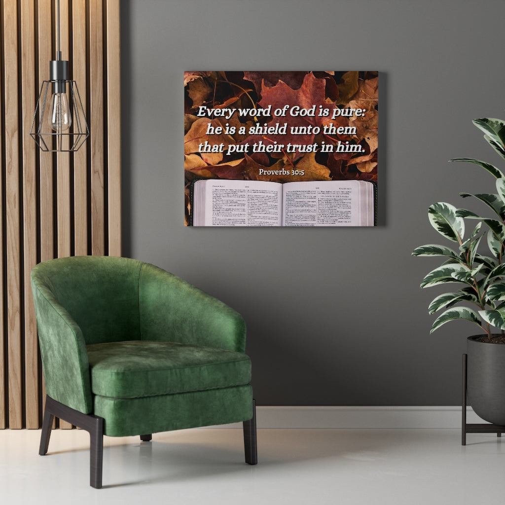 Scripture Walls A Shield Proverbs 30:5 Bible Verse Canvas Christian Wall Art Ready to Hang Unframed-Express Your Love Gifts
