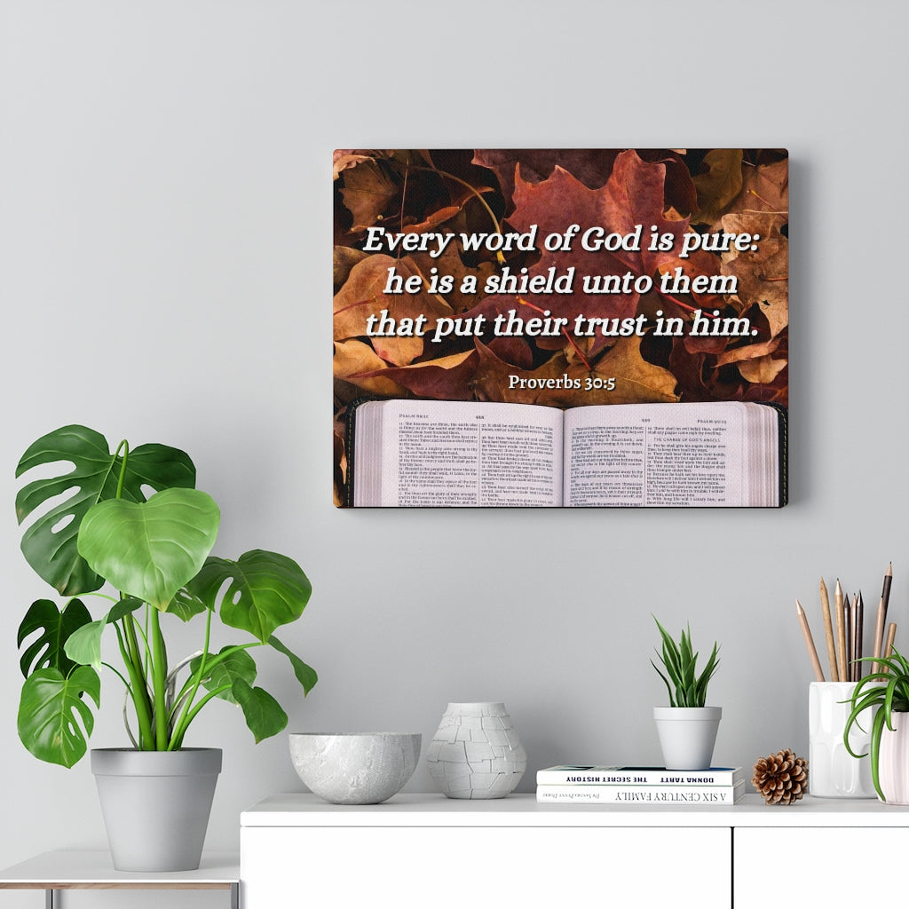 Scripture Walls A Shield Proverbs 30:5 Bible Verse Canvas Christian Wall Art Ready to Hang Unframed-Express Your Love Gifts