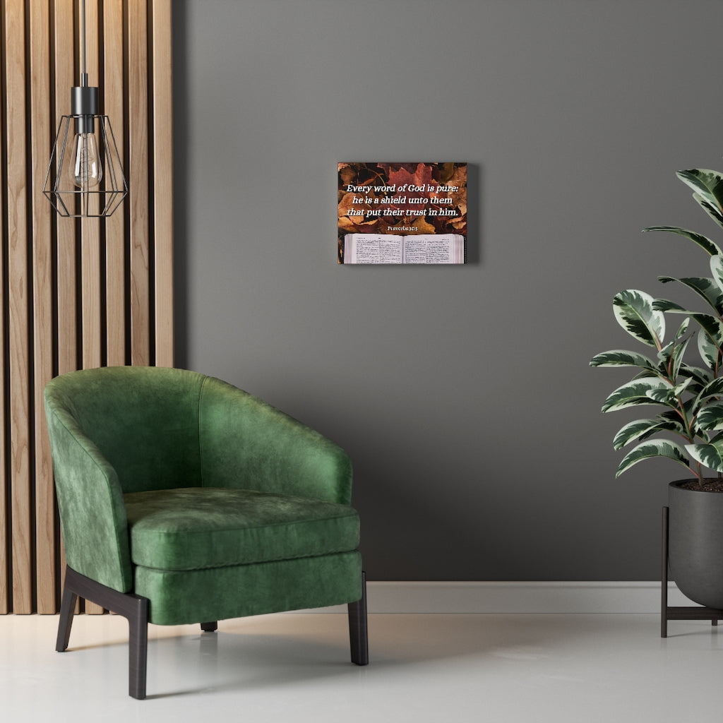 Scripture Walls A Shield Proverbs 30:5 Bible Verse Canvas Christian Wall Art Ready to Hang Unframed-Express Your Love Gifts