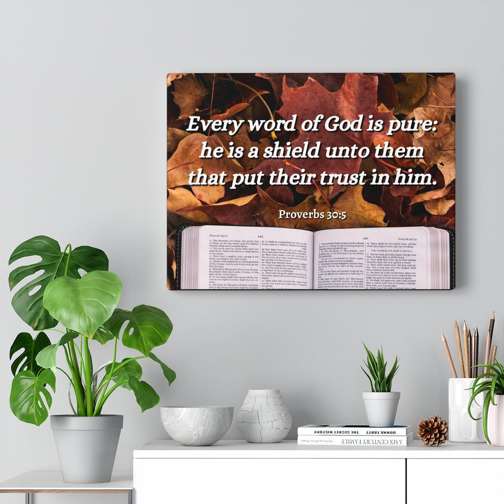 Scripture Walls A Shield Proverbs 30:5 Bible Verse Canvas Christian Wall Art Ready to Hang Unframed-Express Your Love Gifts