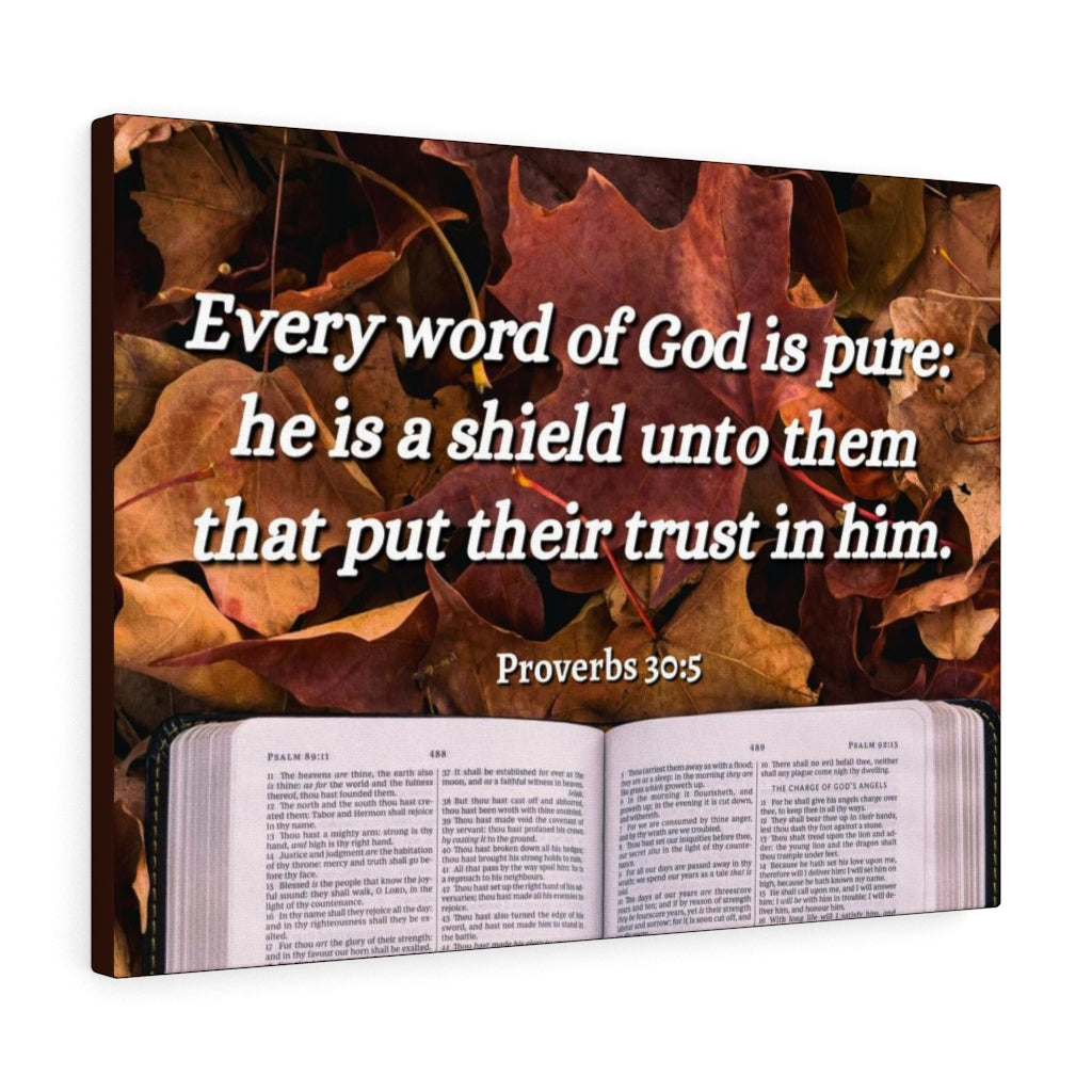 Scripture Walls A Shield Proverbs 30:5 Bible Verse Canvas Christian Wall Art Ready to Hang Unframed-Express Your Love Gifts