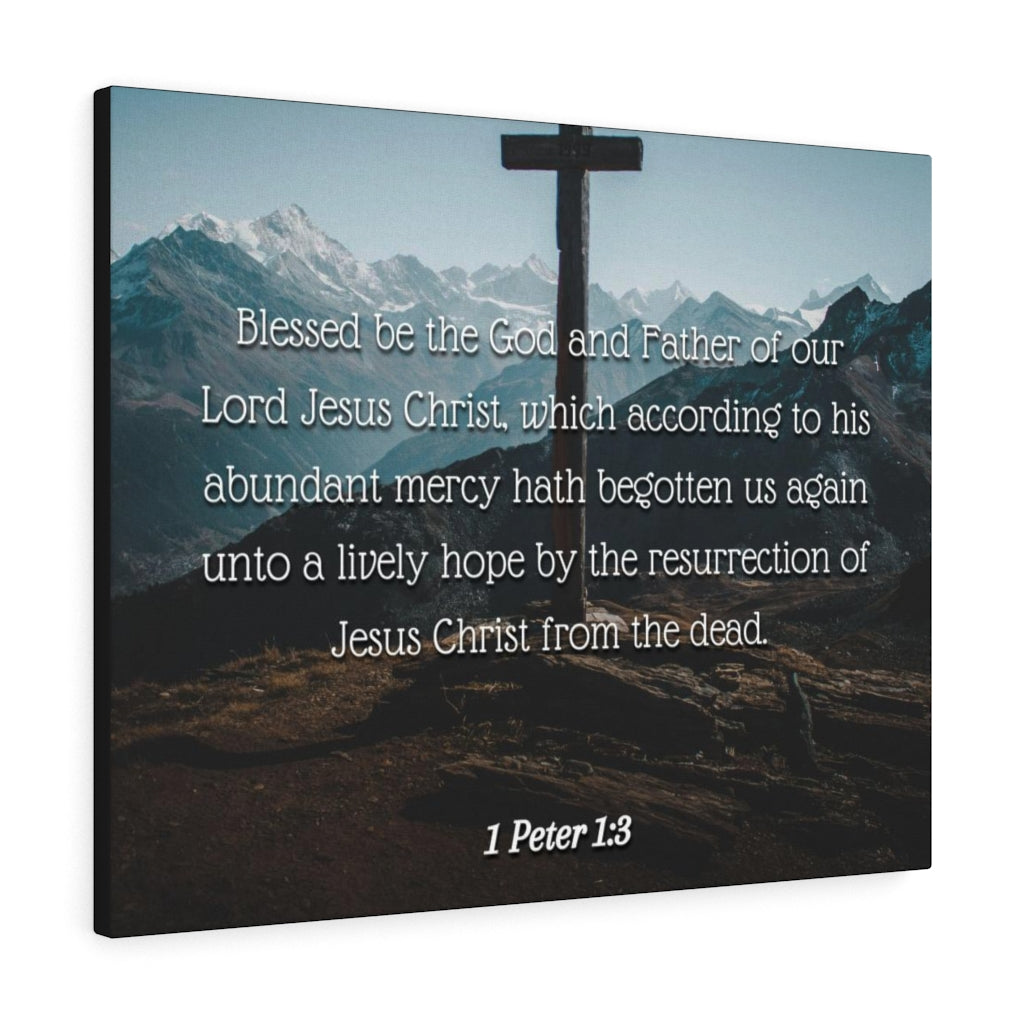 Scripture Walls Abundant Mercy 1 Peter 1:3 Bible Verse Canvas Christian Wall Art Ready to Hang Unframed-Express Your Love Gifts