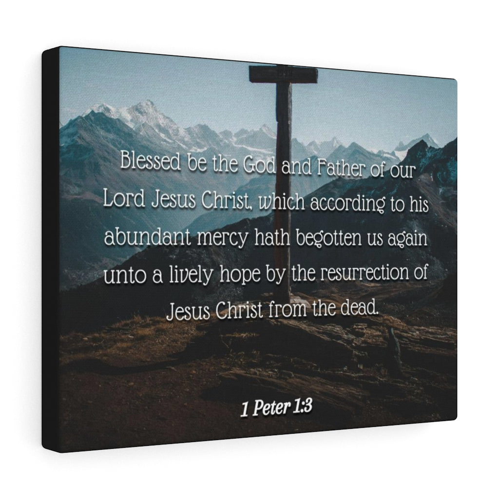 Scripture Walls Abundant Mercy 1 Peter 1:3 Bible Verse Canvas Christian Wall Art Ready to Hang Unframed-Express Your Love Gifts