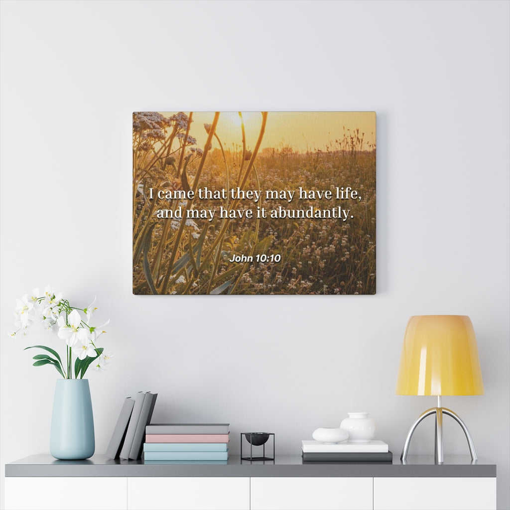 Scripture Walls Abundantly John 10:10 Bible Verse Canvas Christian Wall Art Ready to Hang Unframed-Express Your Love Gifts