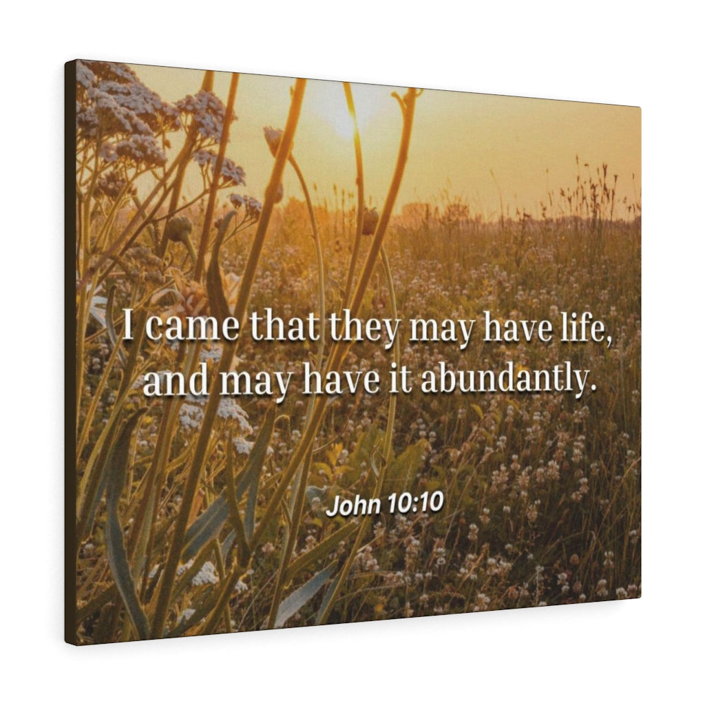 Scripture Walls Abundantly John 10:10 Bible Verse Canvas Christian Wall Art Ready to Hang Unframed-Express Your Love Gifts