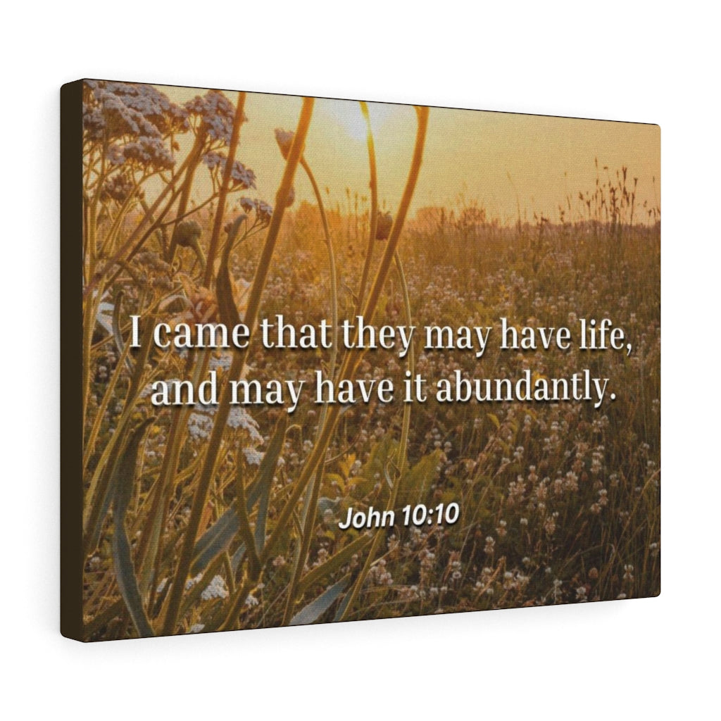 Scripture Walls Abundantly John 10:10 Bible Verse Canvas Christian Wall Art Ready to Hang Unframed-Express Your Love Gifts
