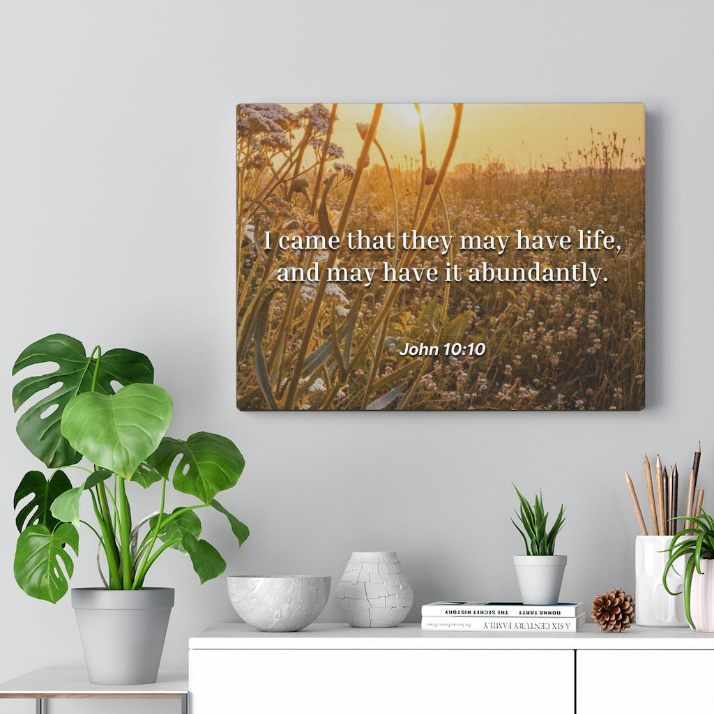 Scripture Walls Abundantly John 10:10 Bible Verse Canvas Christian Wall Art Ready to Hang Unframed-Express Your Love Gifts