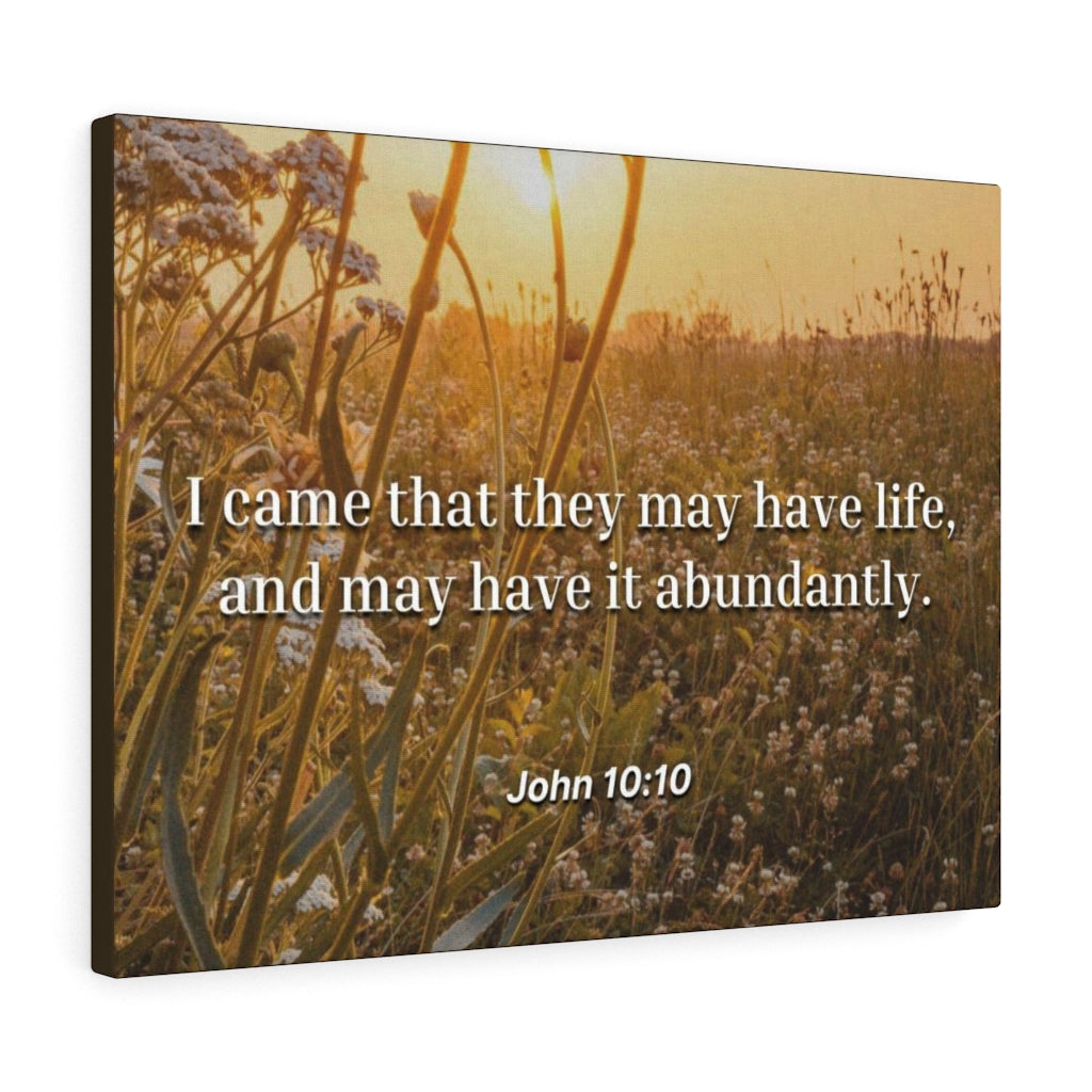 Scripture Walls Abundantly John 10:10 Bible Verse Canvas Christian Wall Art Ready to Hang Unframed-Express Your Love Gifts