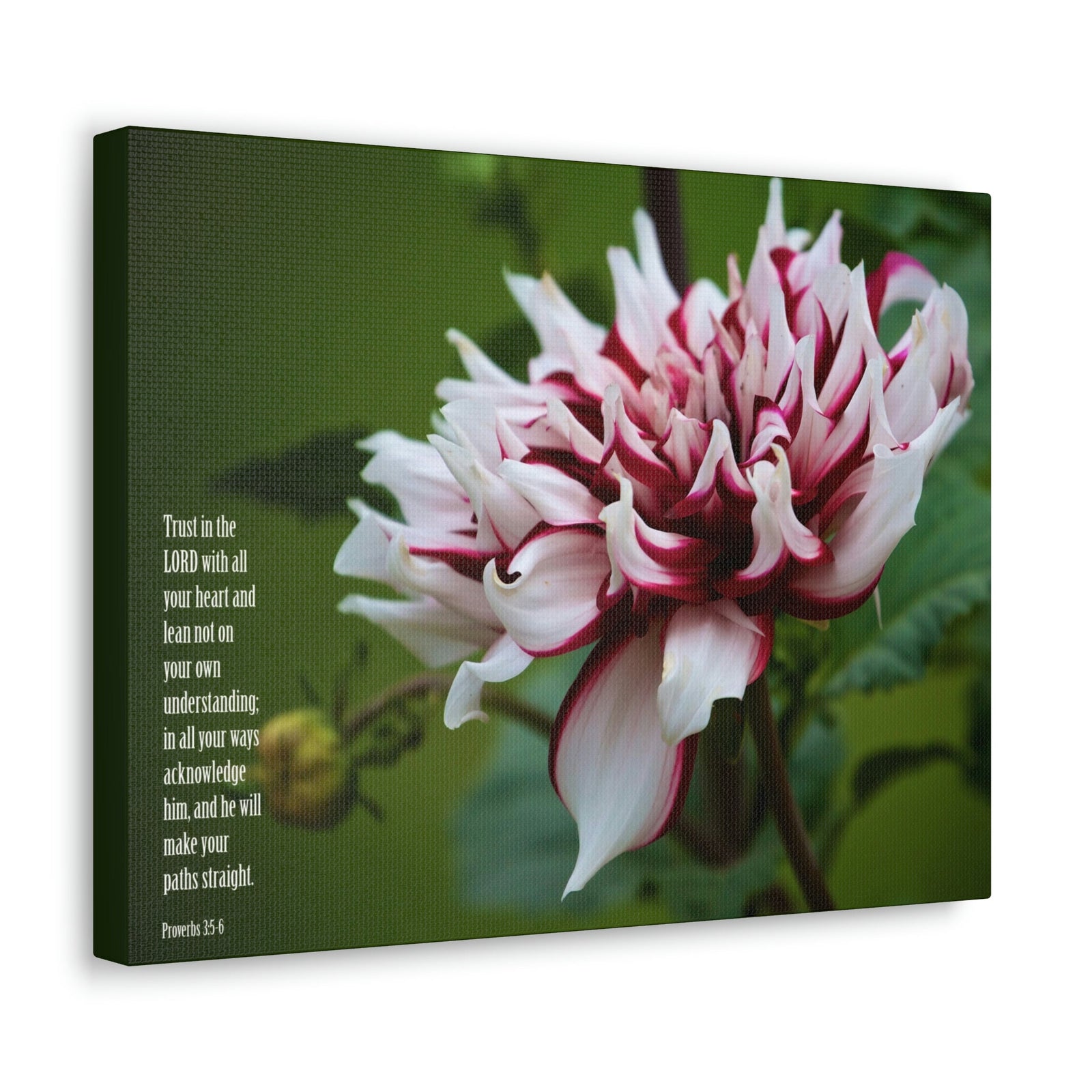 Scripture Walls All Your Heart Proverbs 3:5 Bible Verse Canvas Christian Wall Art Ready to Hang Unframed-Express Your Love Gifts