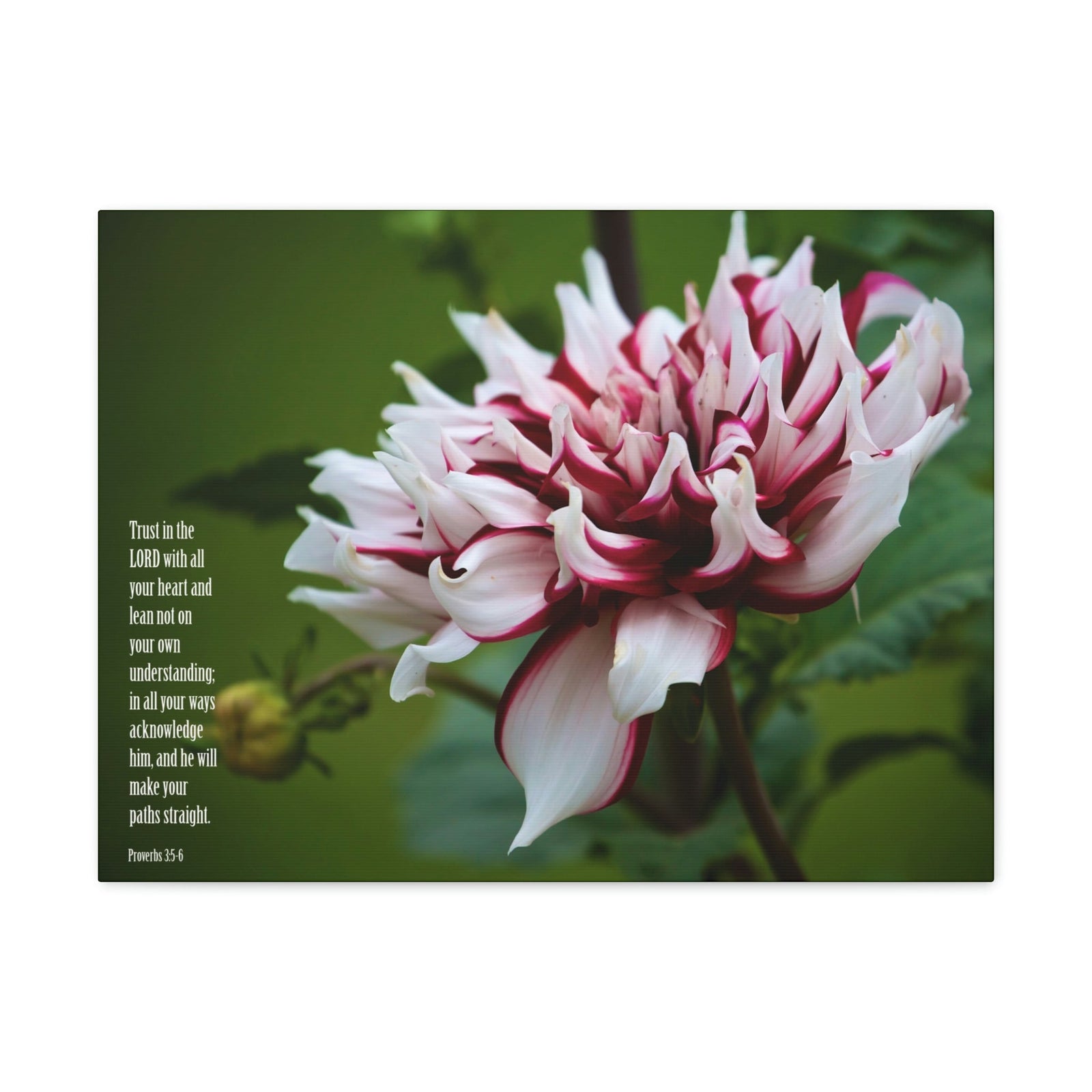 Scripture Walls All Your Heart Proverbs 3:5 Bible Verse Canvas Christian Wall Art Ready to Hang Unframed-Express Your Love Gifts
